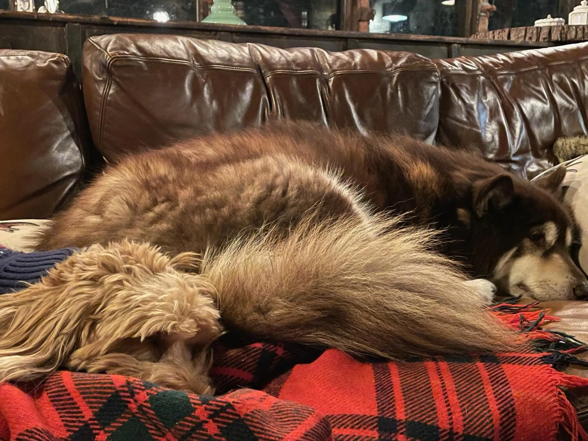 Grunberg Haus Inn & Cabins