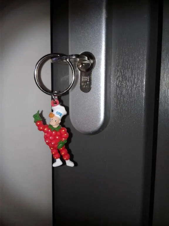 Decorative detail in Raafjeshof - Appartementen