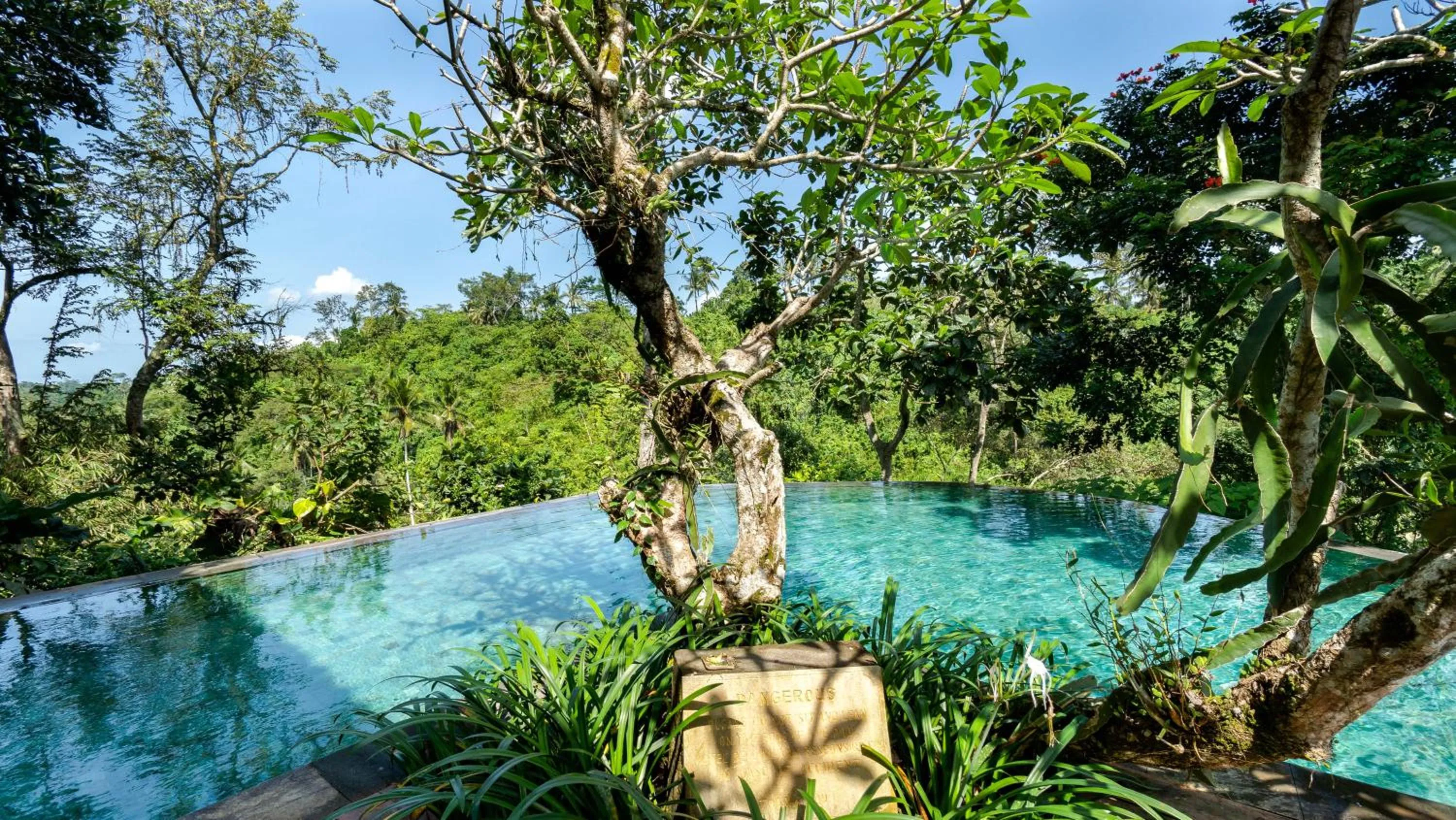 View (from property/room) in Natura Villa Ubud Bali
