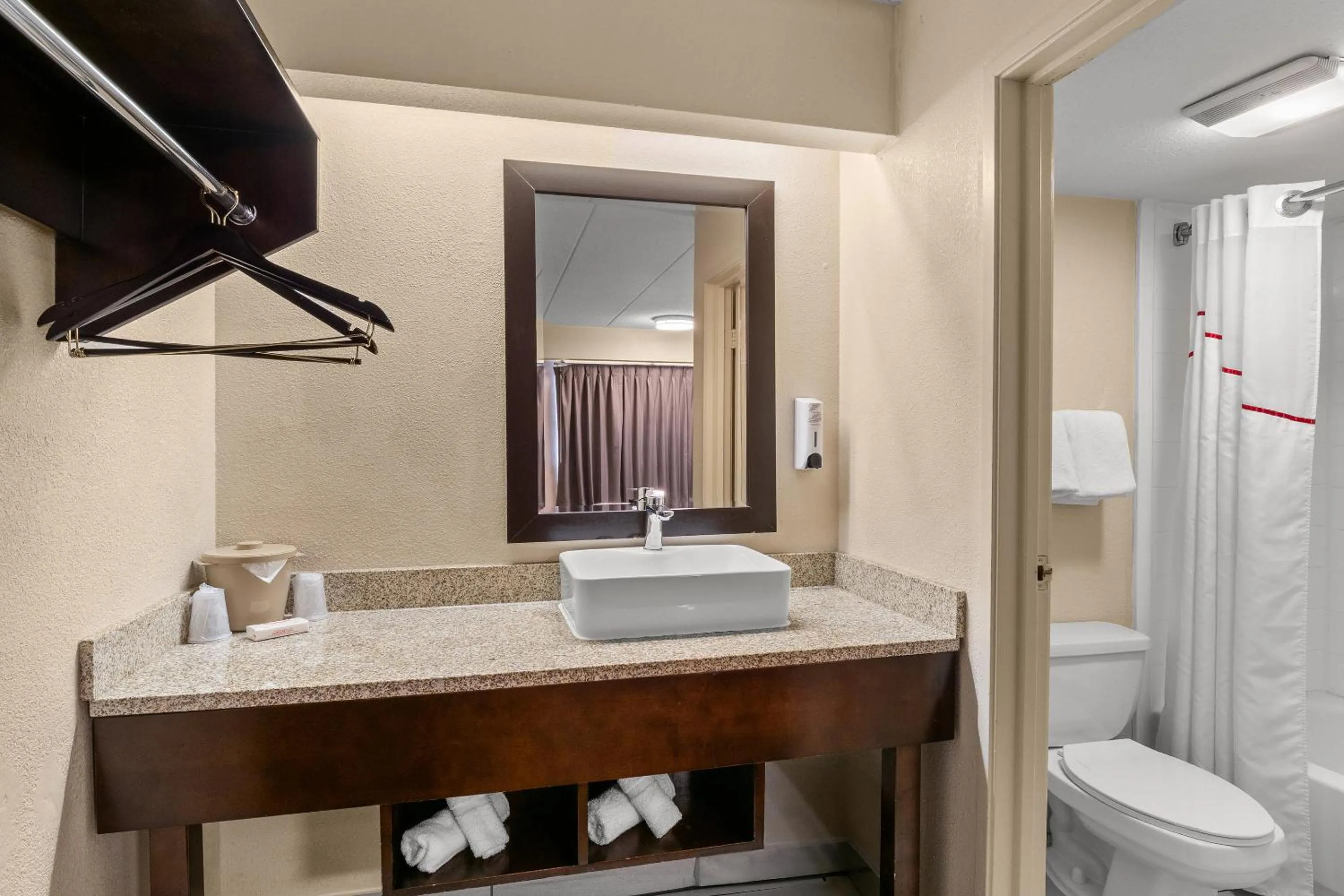 Bathroom in Red Roof Inn Lansing East - MSU