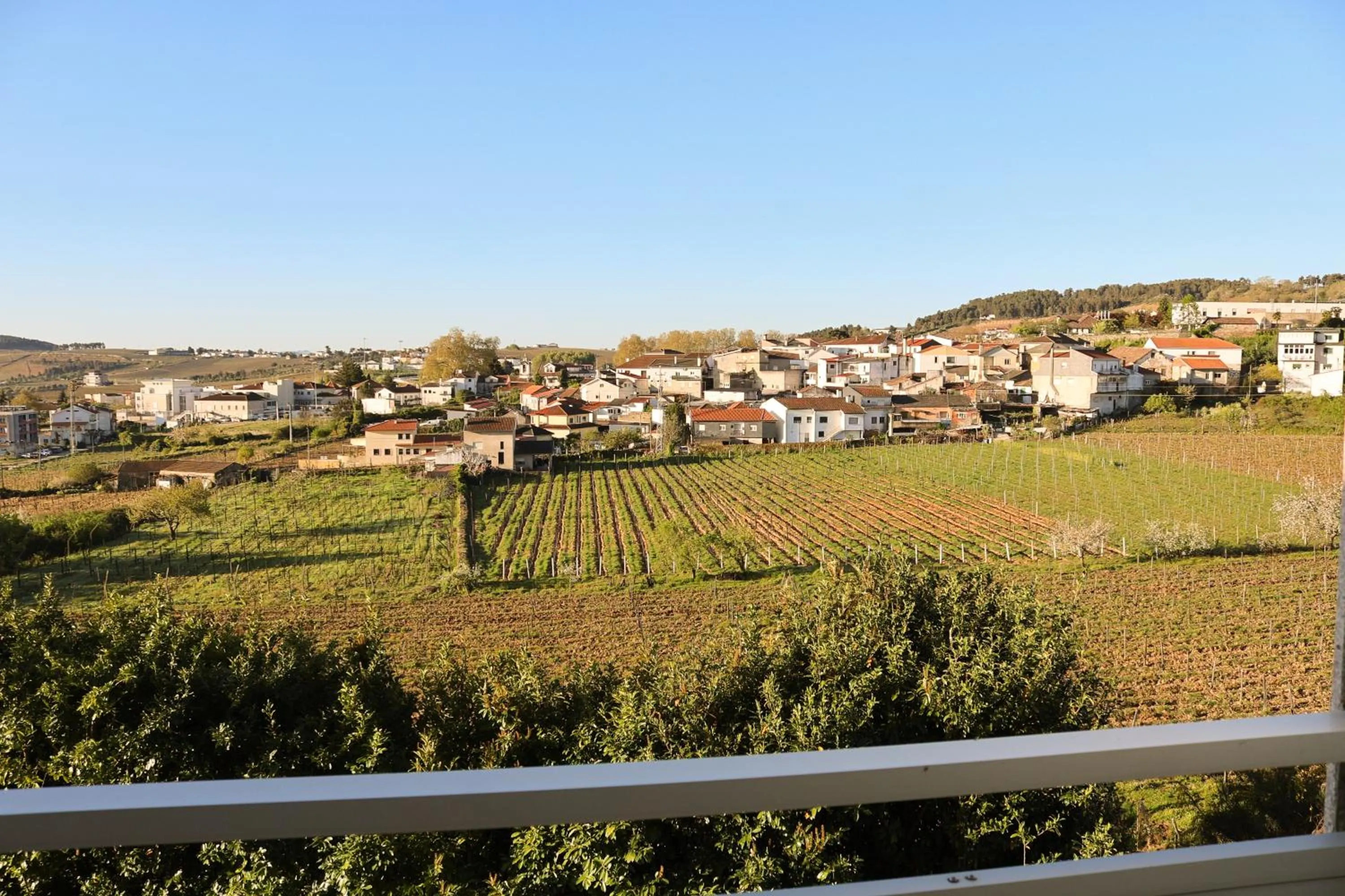 View (from property/room) in Quinta da Seixeda