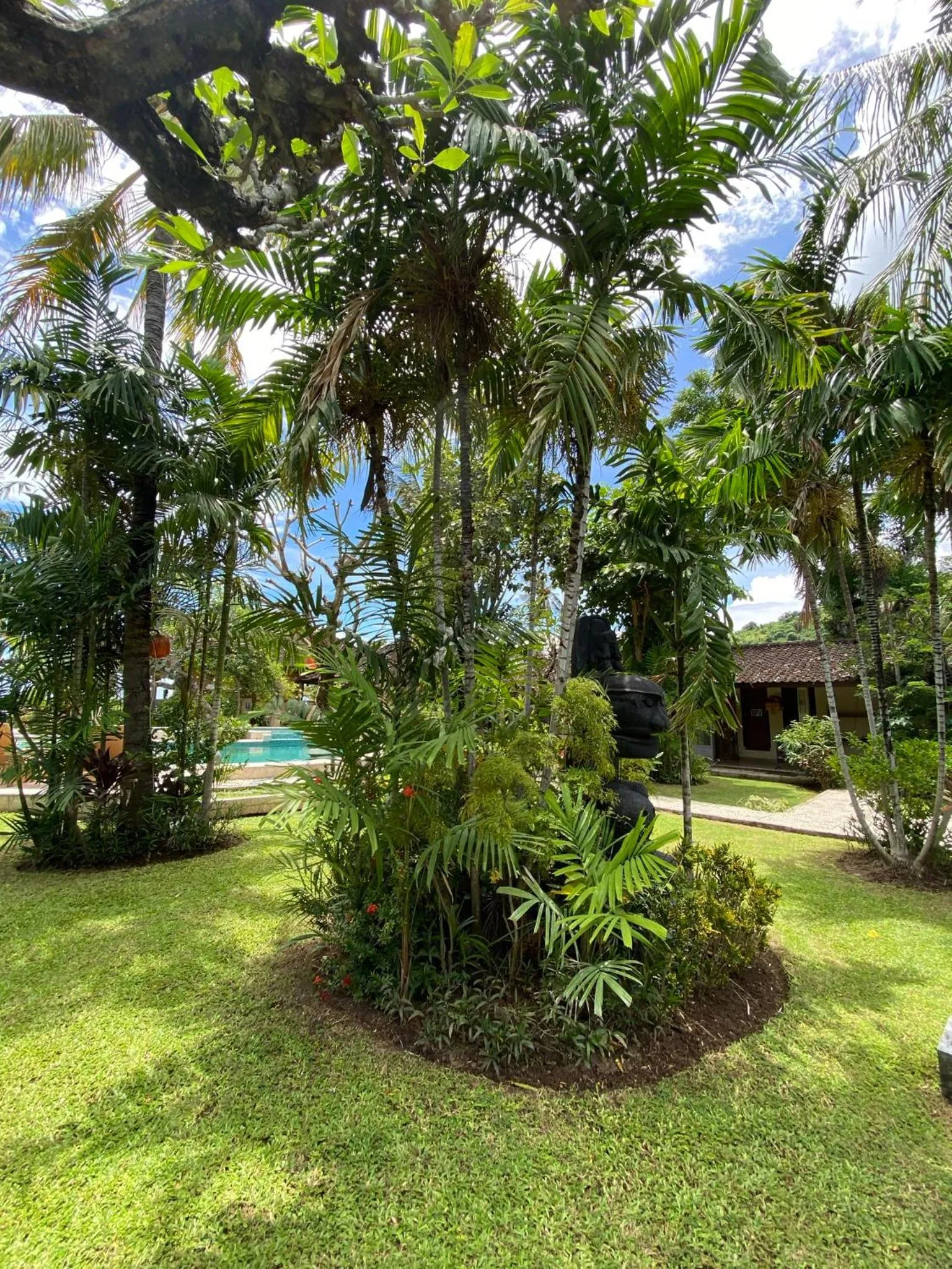 Garden in Hidden Paradise Cottages