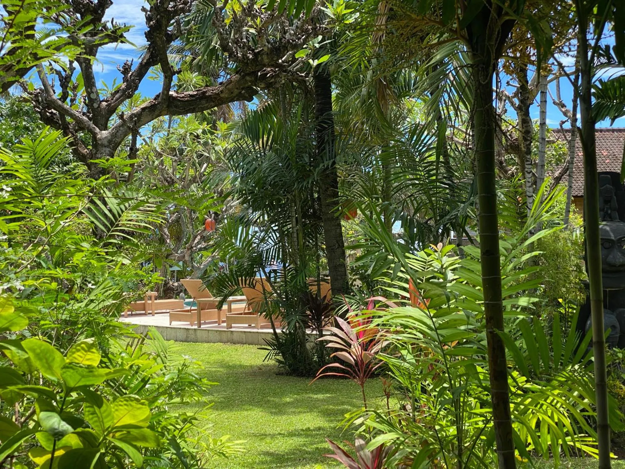 Garden in Hidden Paradise Cottages