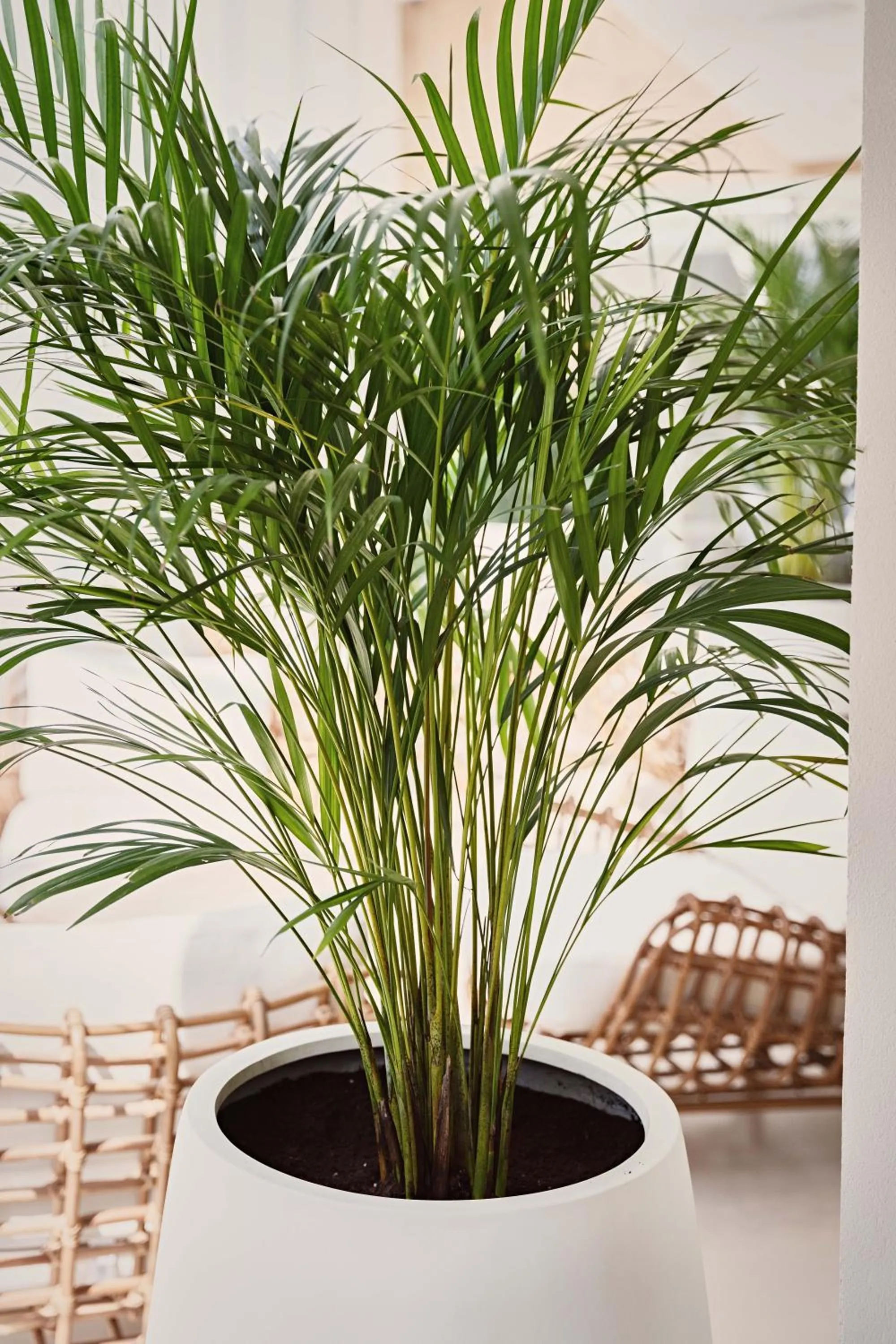 Decorative detail in Palmyard Hotel