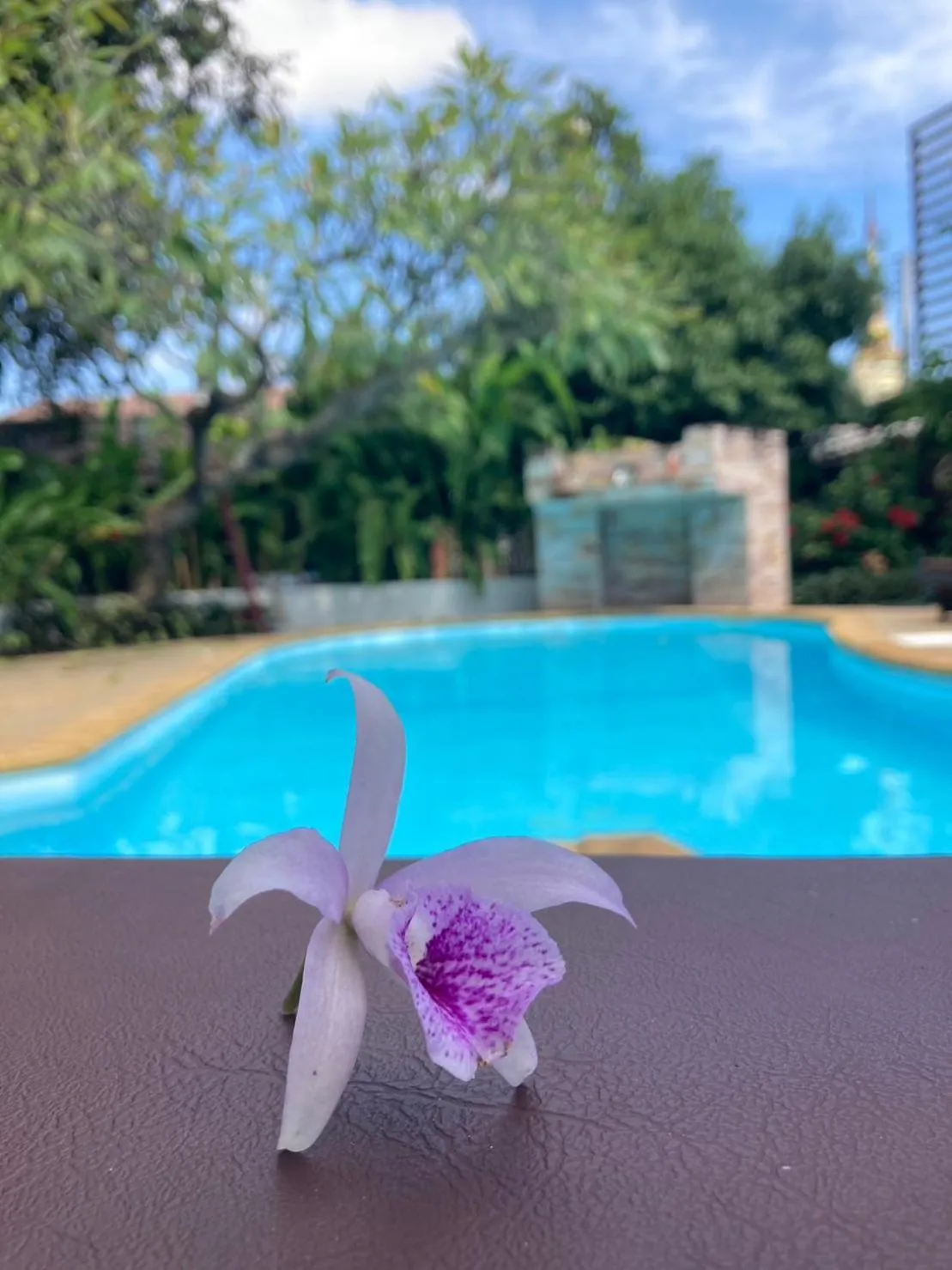 Swimming pool in Wiriya House