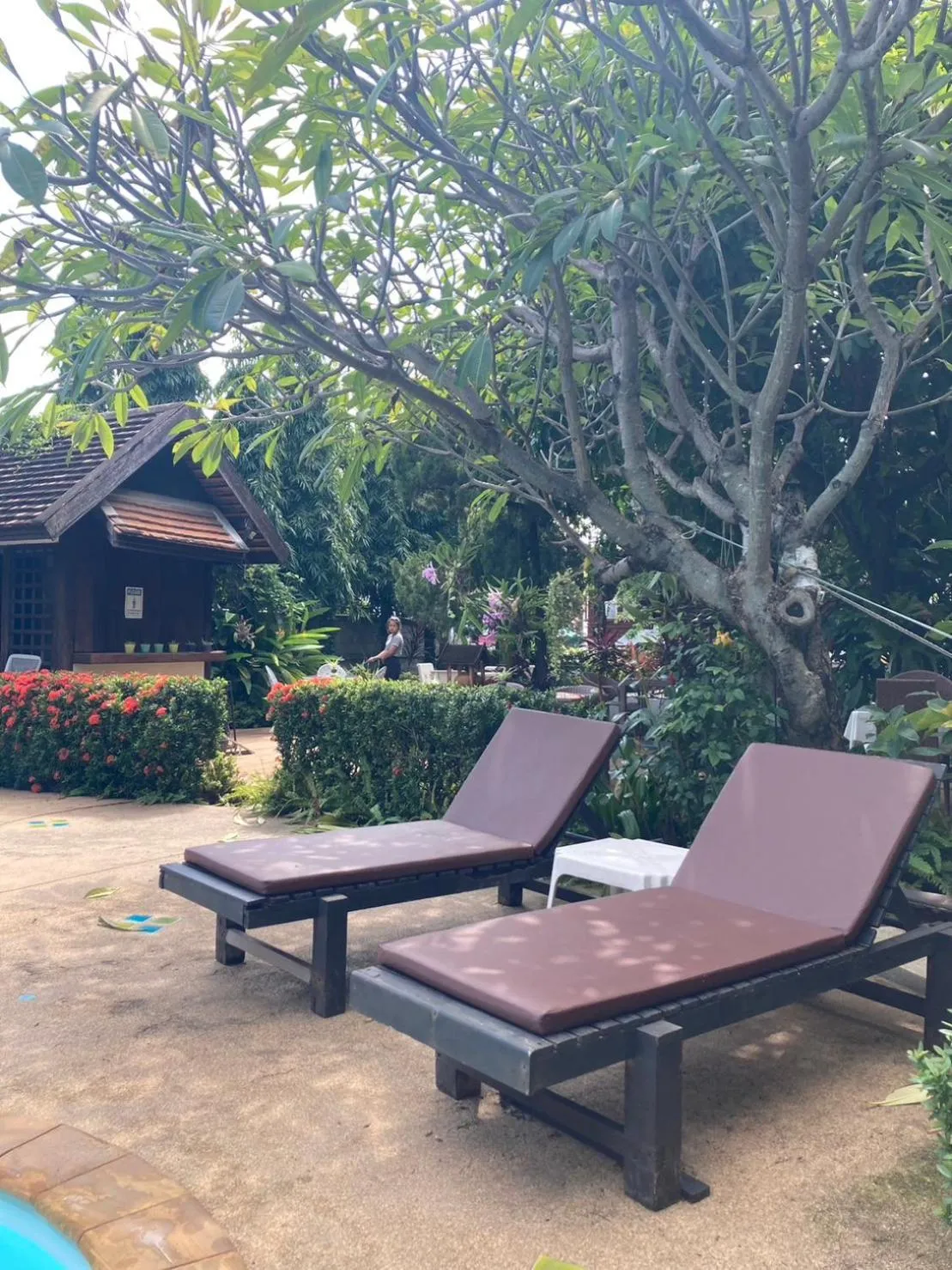 Swimming pool in Wiriya House