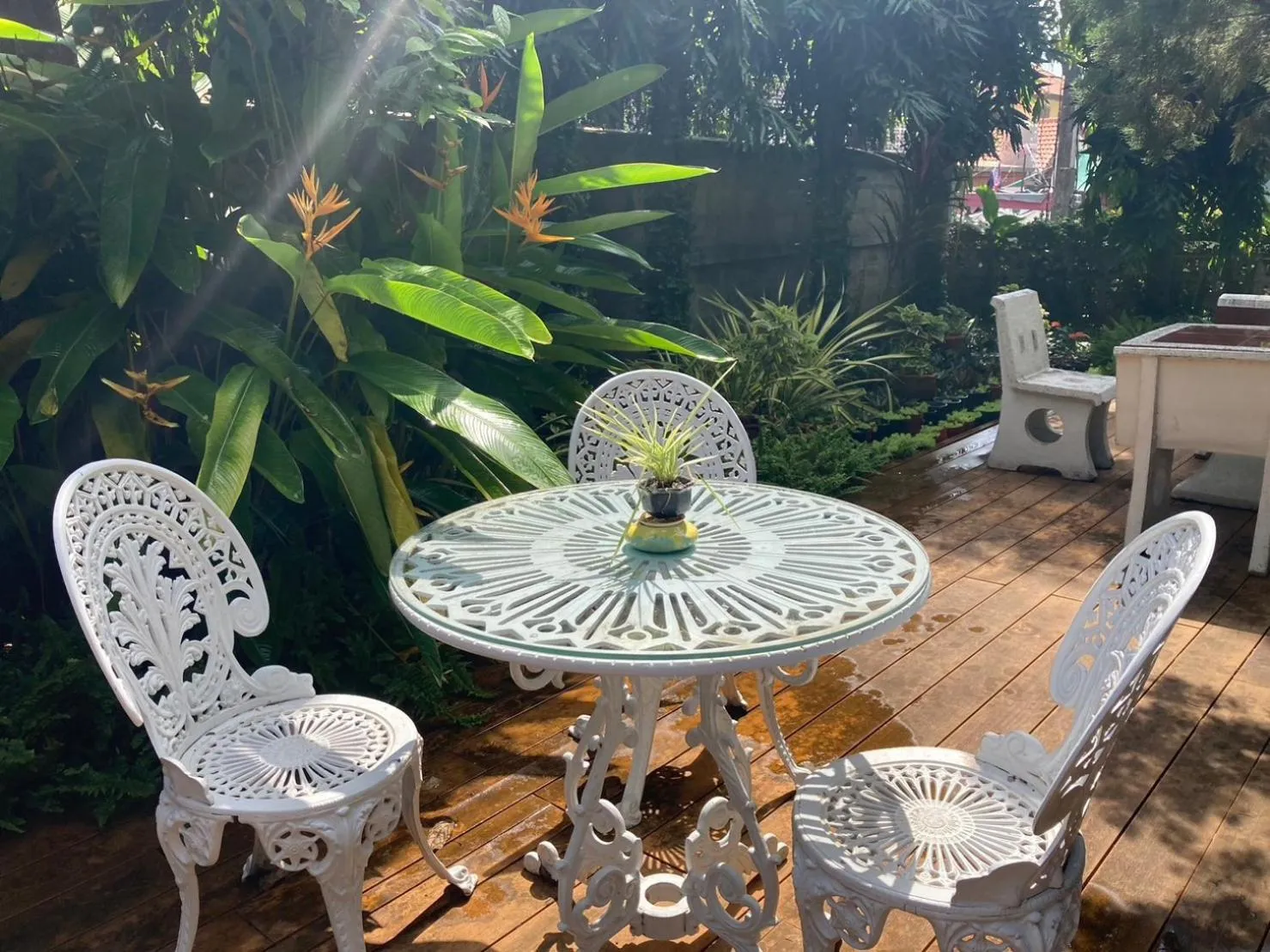 Garden in Wiriya House