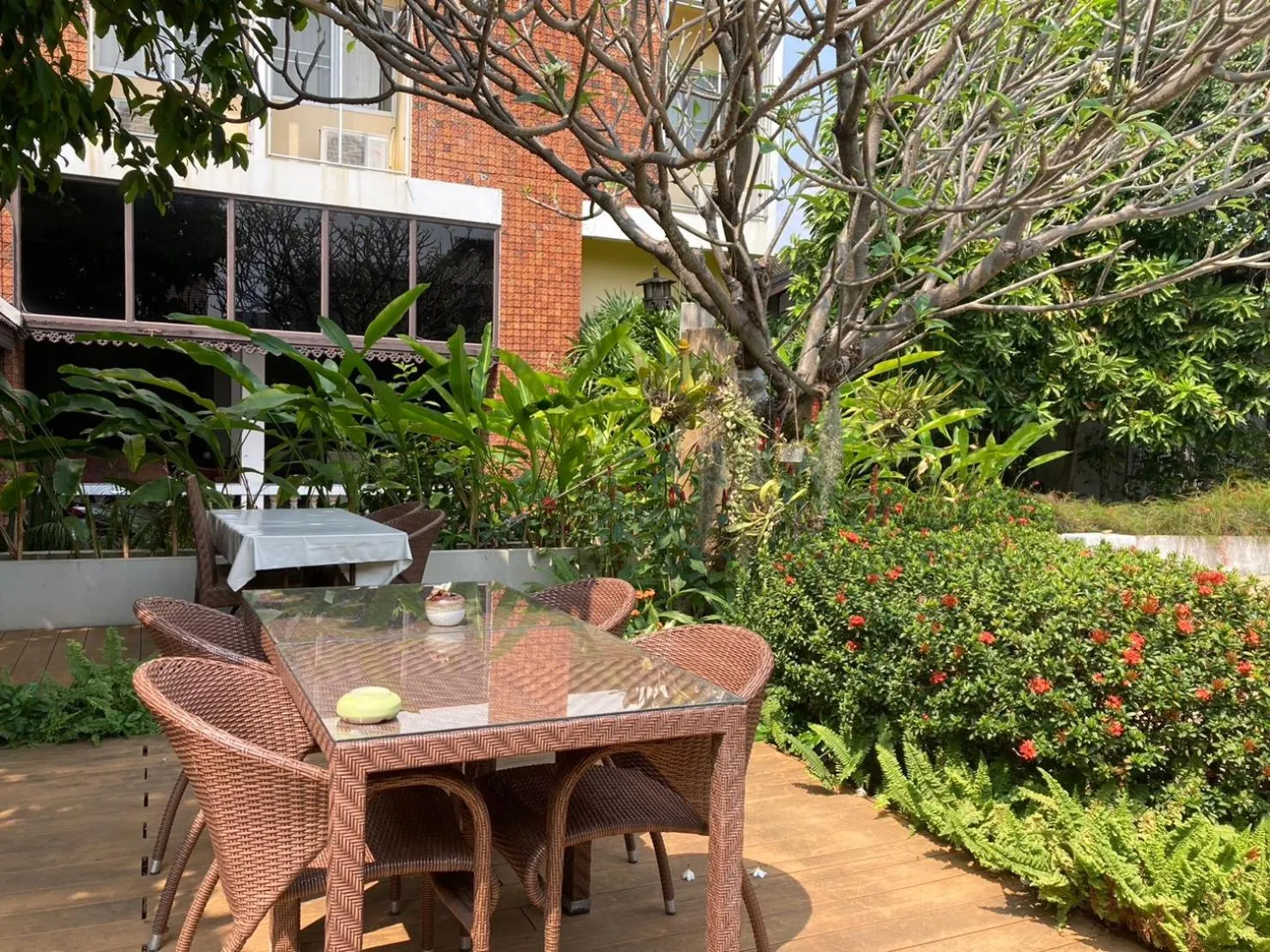 Garden in Wiriya House