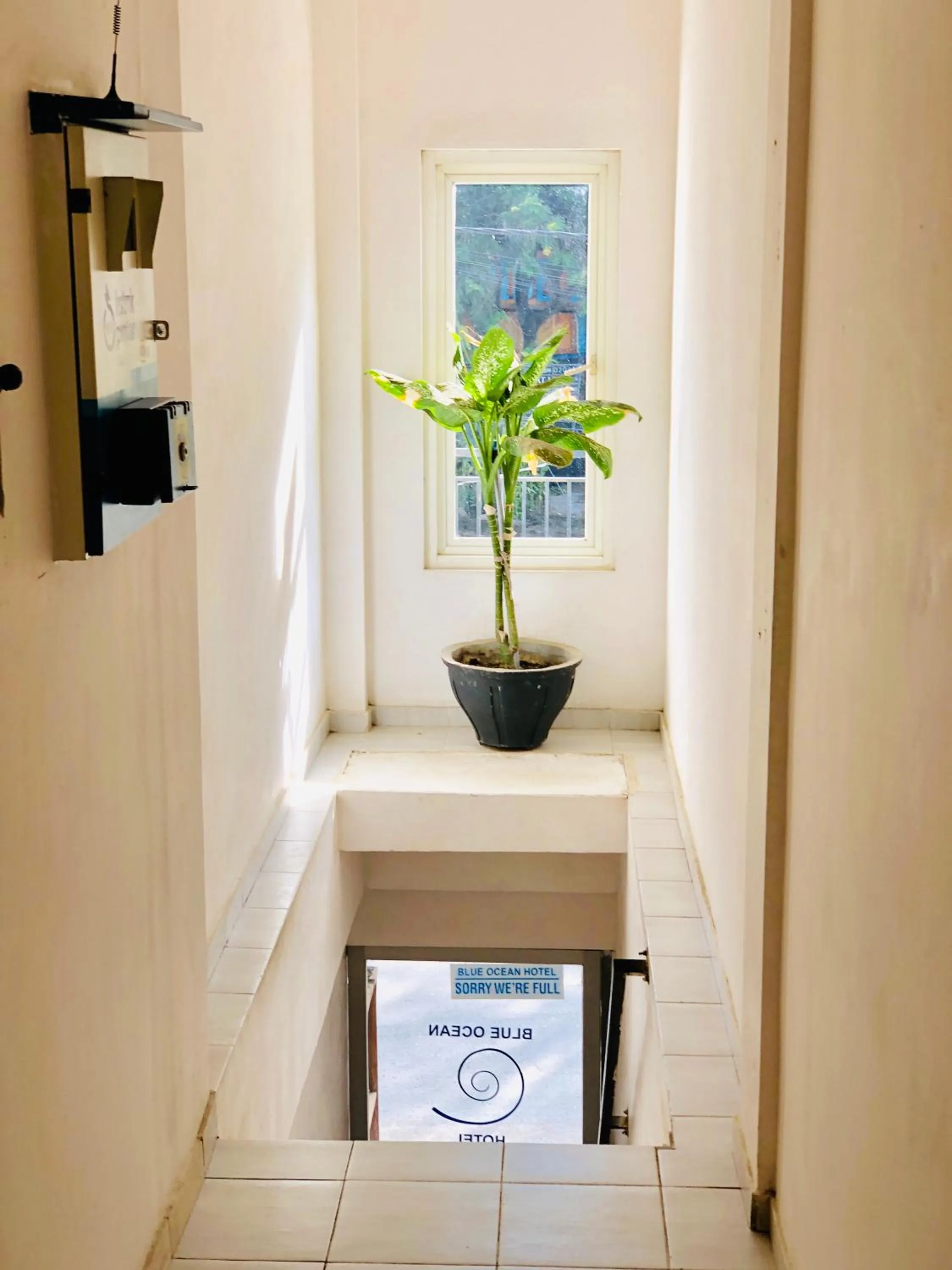 Facade/entrance in Blue Ocean Hotel