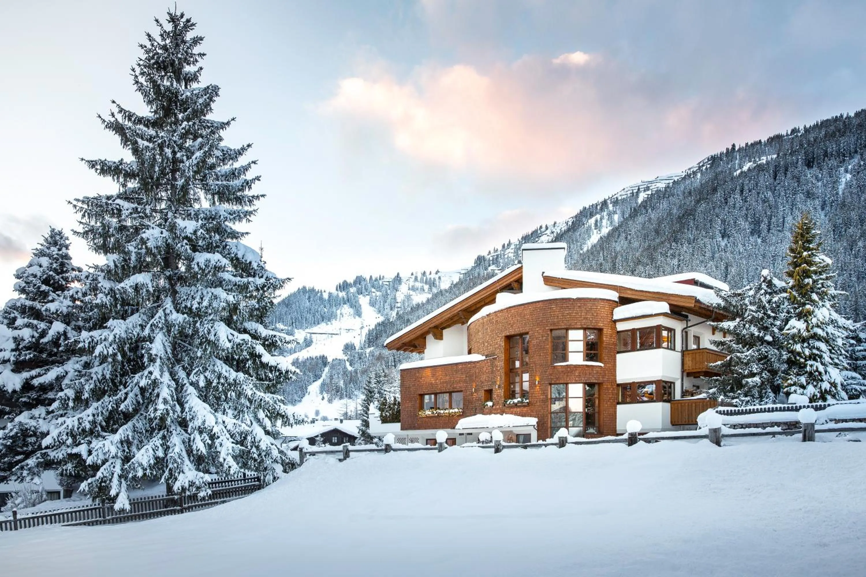 Rosa Canina Superior