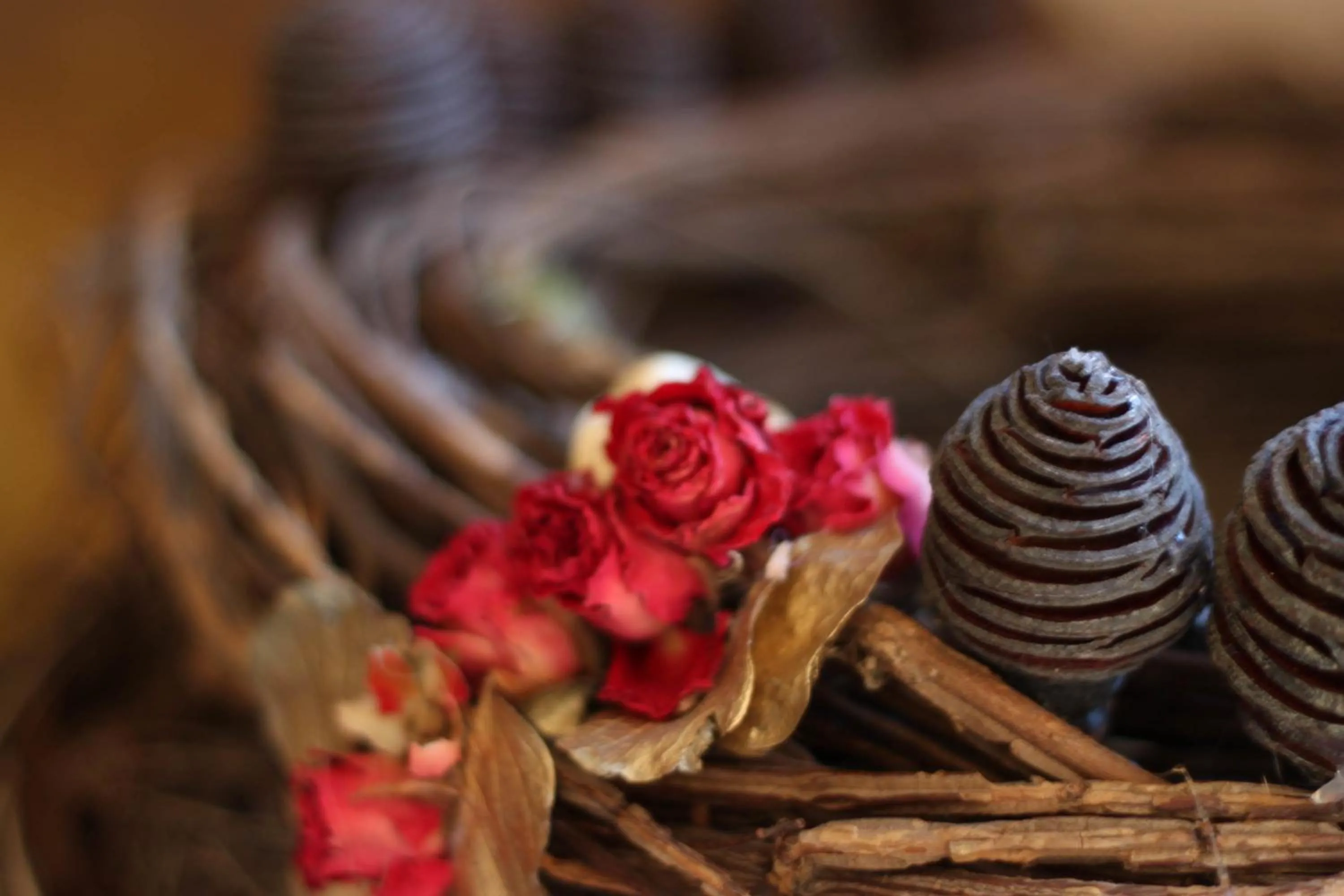 Decorative detail in Rosa Canina Superior