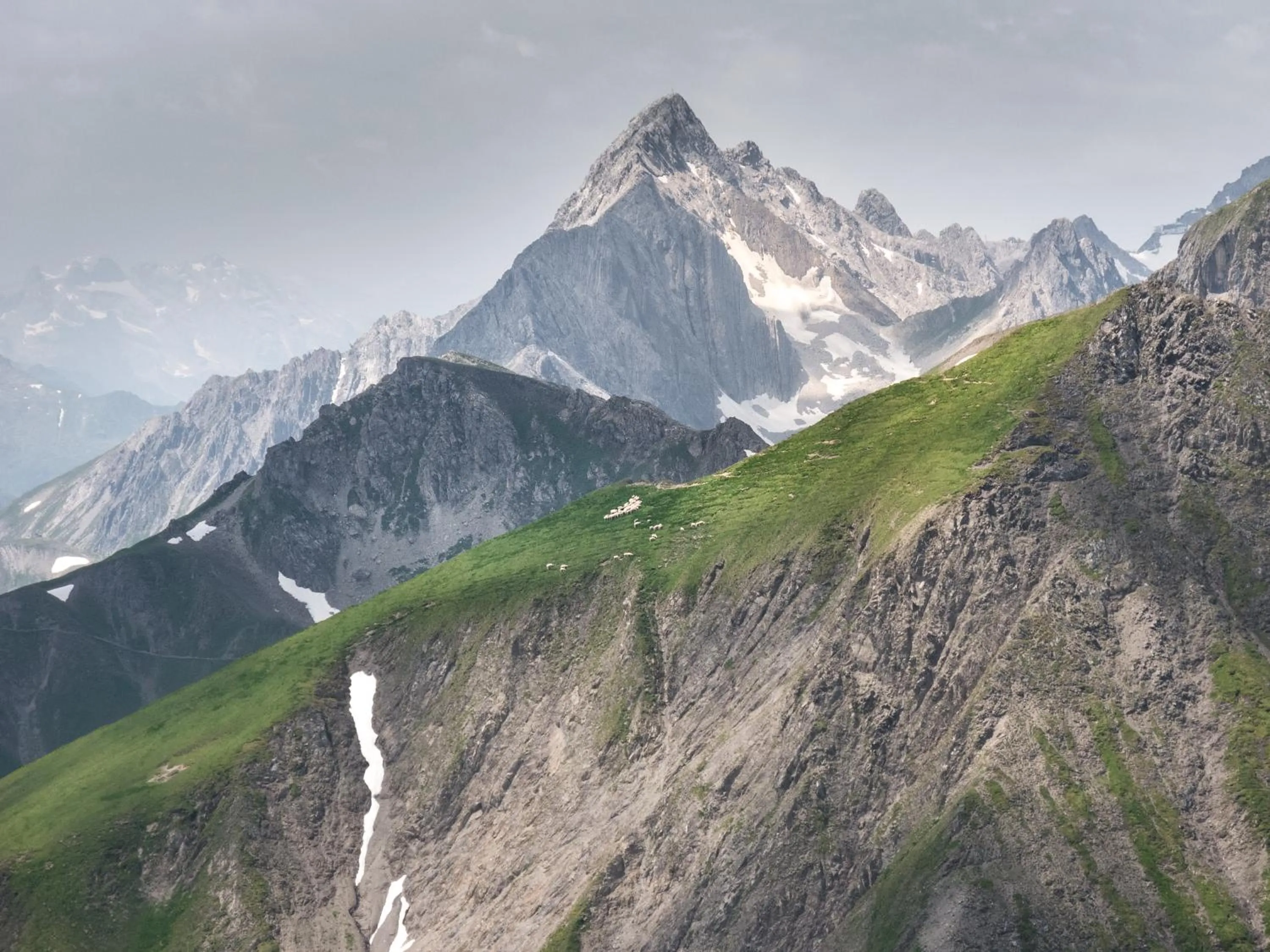 Autumn in Rosa Canina Superior