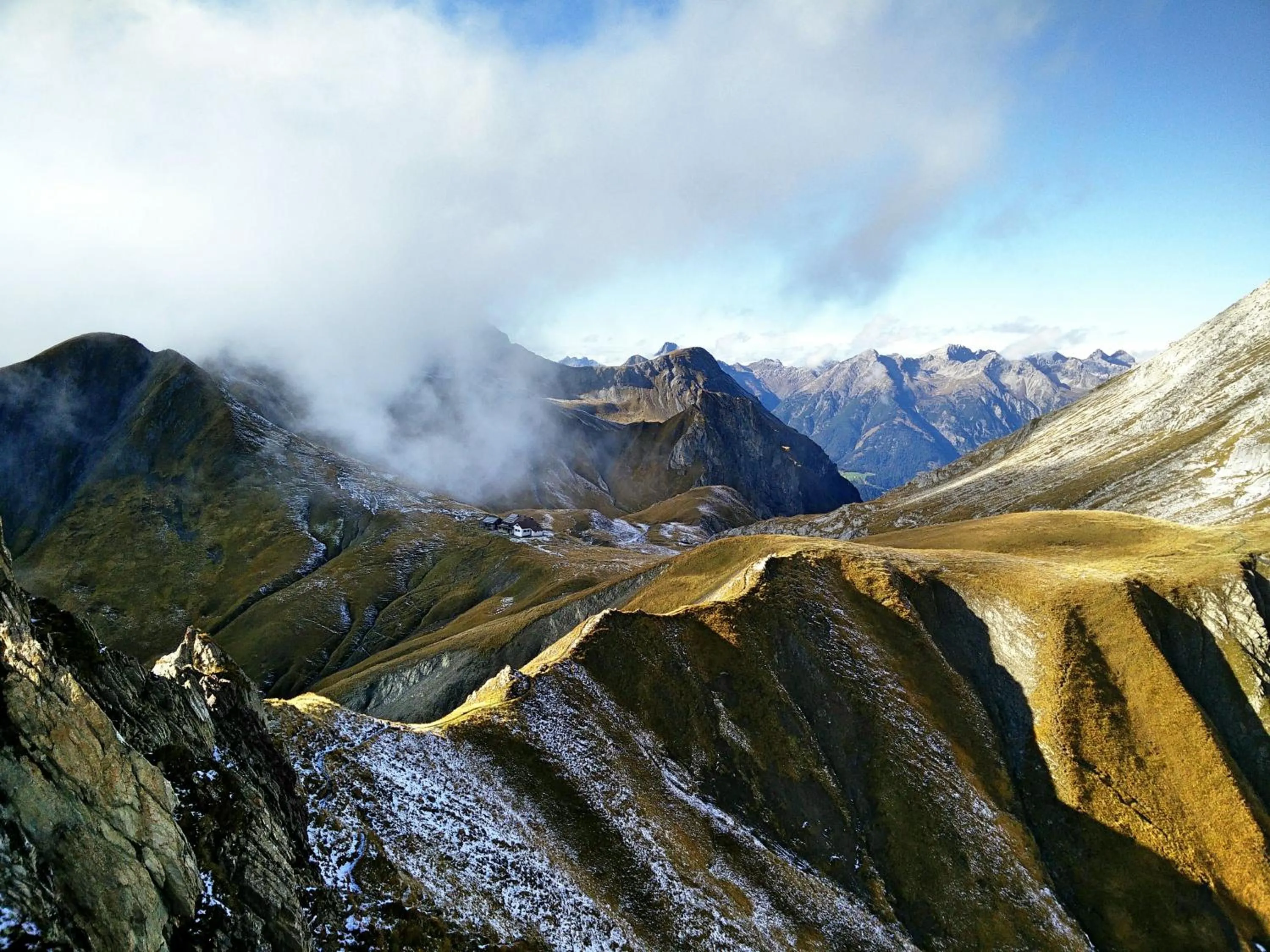 Summer in Rosa Canina Superior