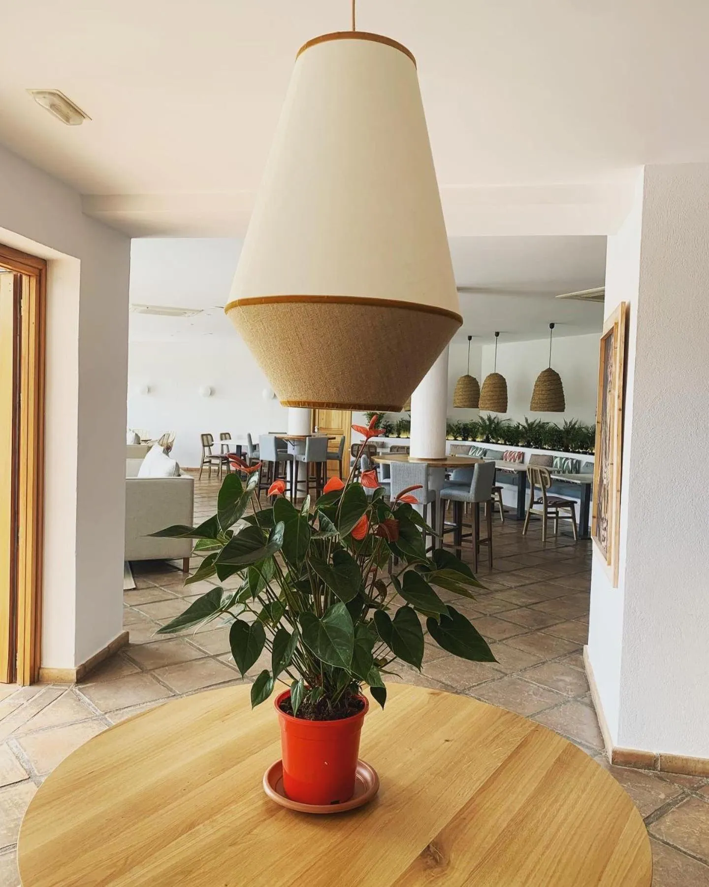 Boutique Hotel El Tio Kiko