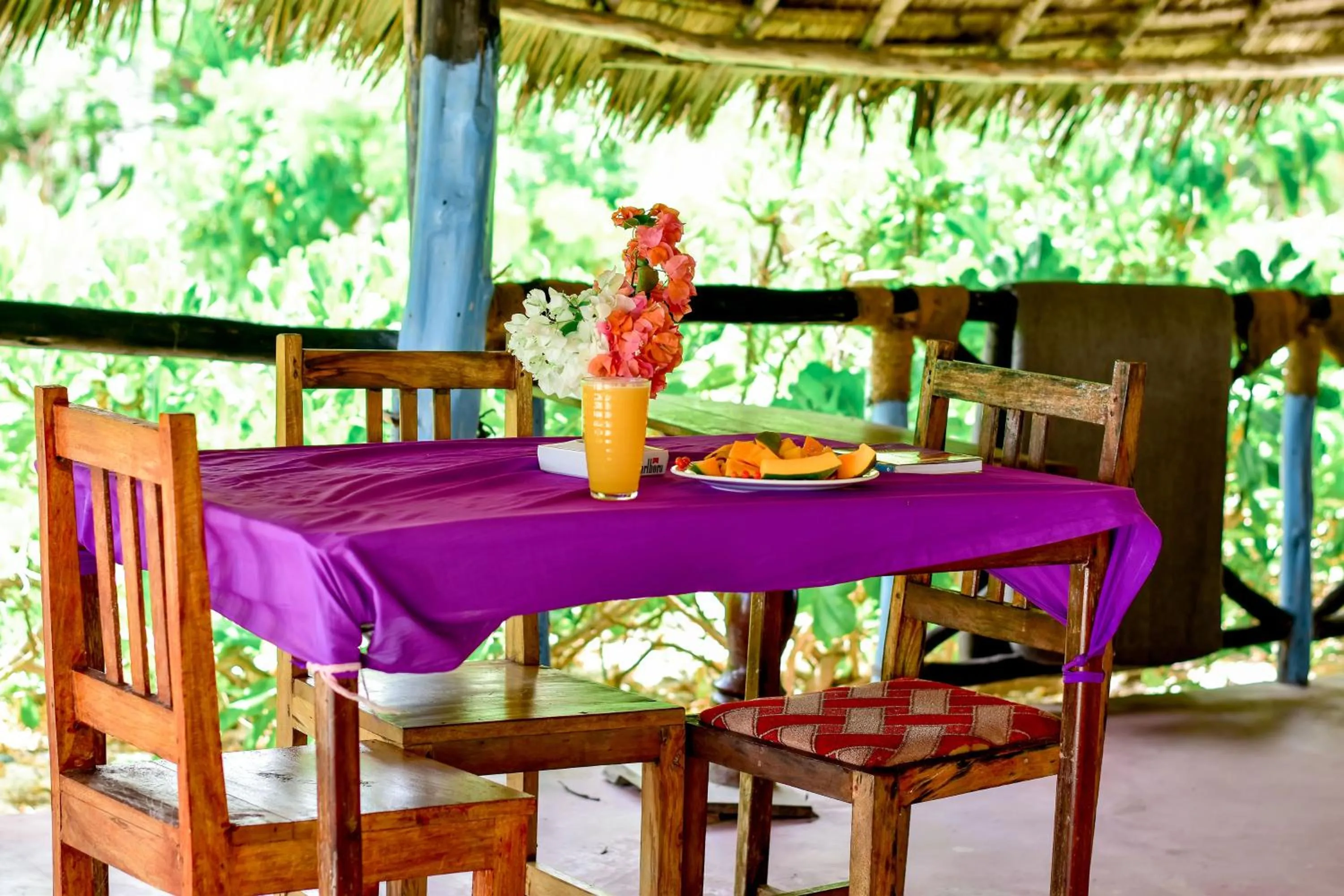 View (from property/room) in Blue Earth Beach Bungalow