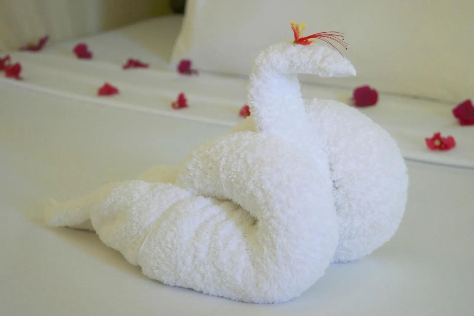 Decorative detail in Blue Earth Beach Bungalow