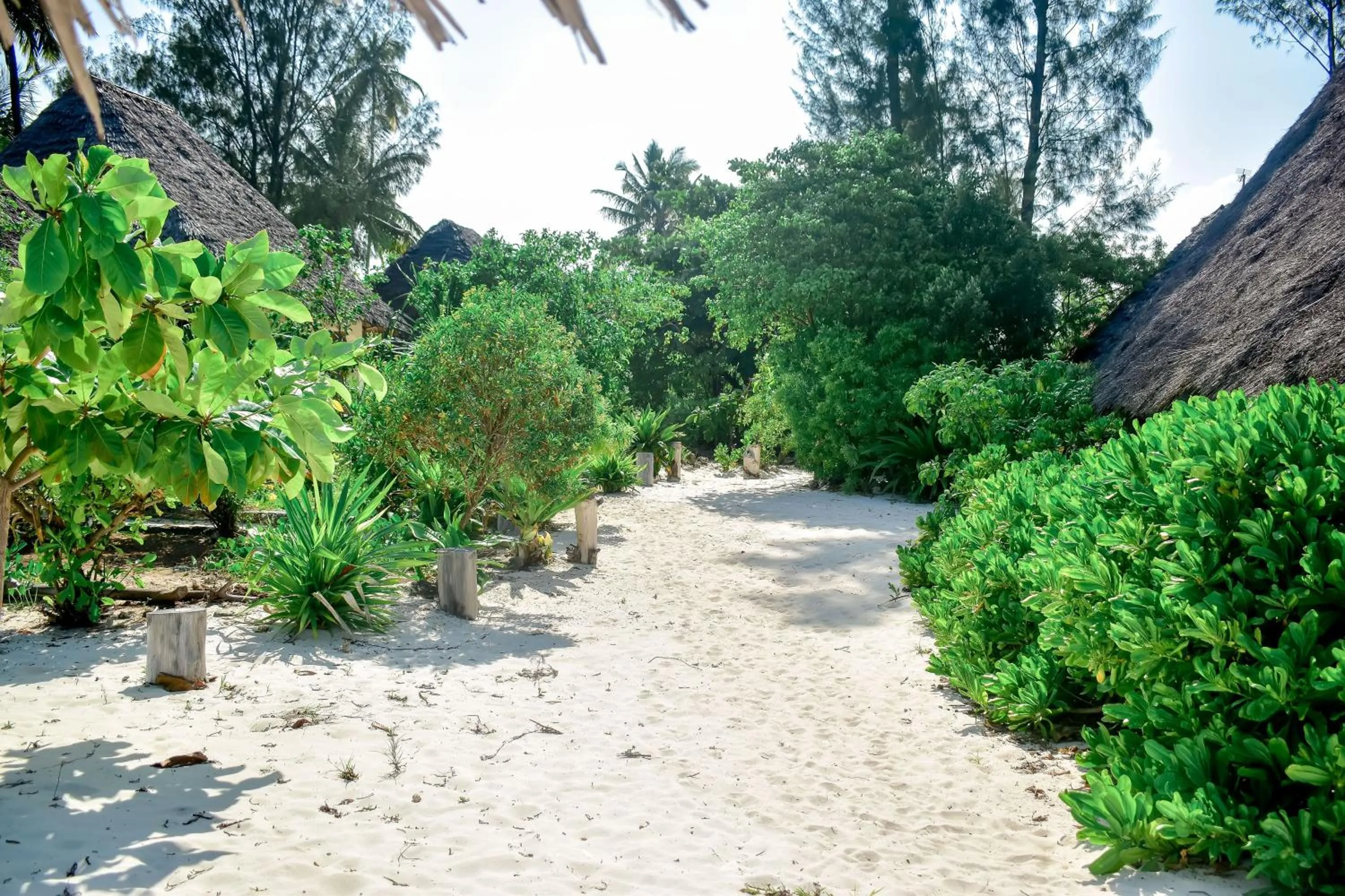 Day in Blue Earth Beach Bungalow