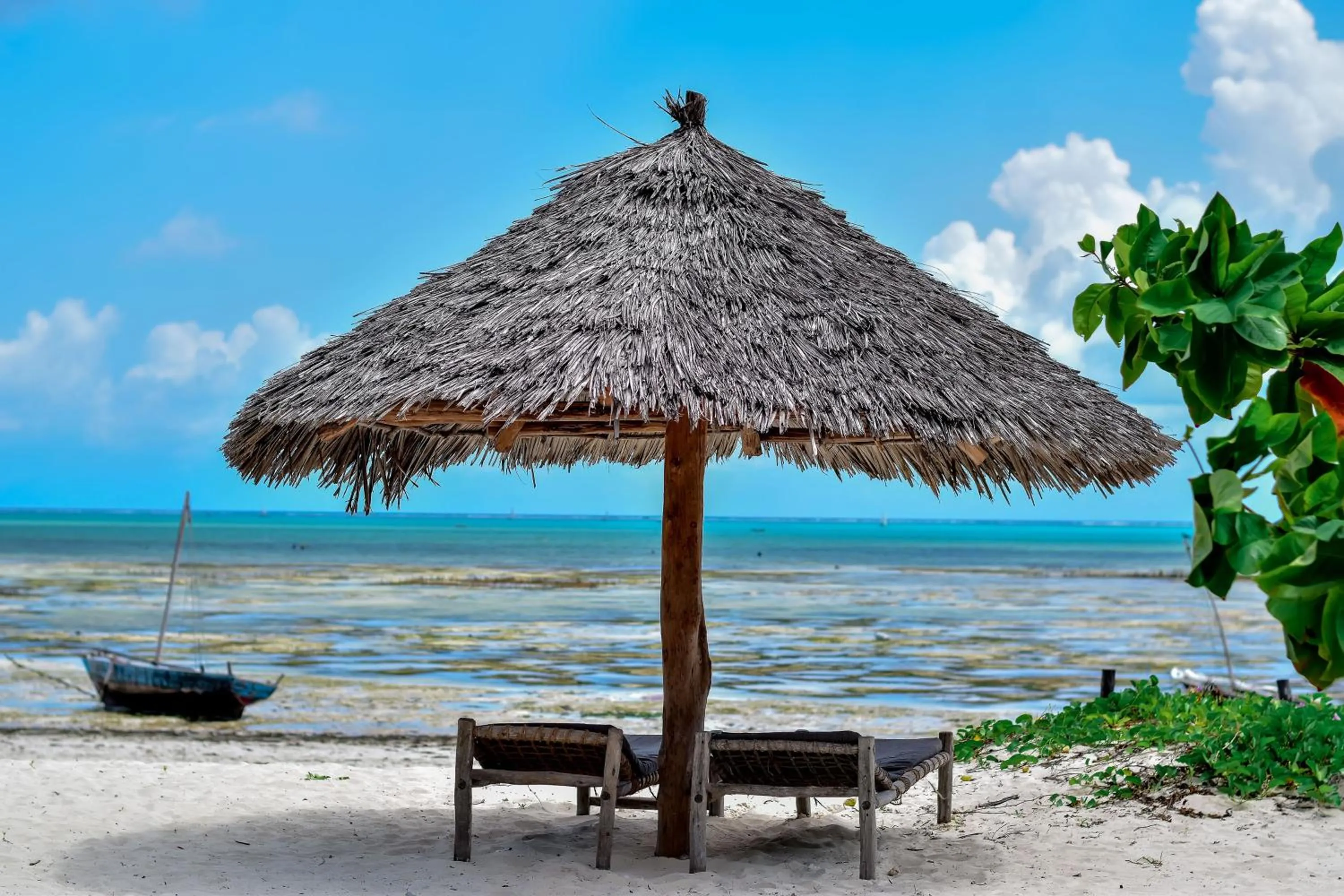 Day in Blue Earth Beach Bungalow