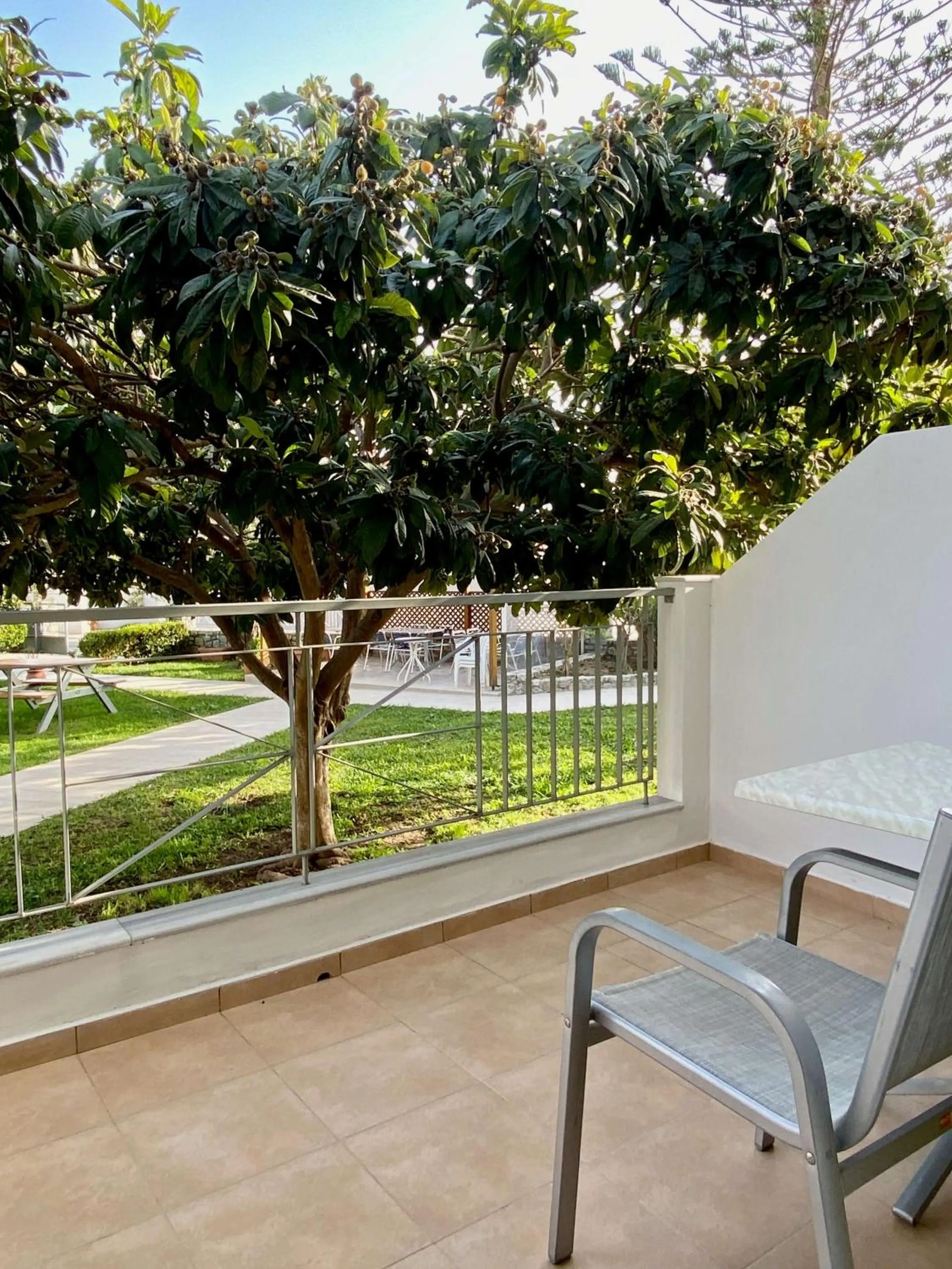 Balcony/Terrace in Manolis Apartments plakias