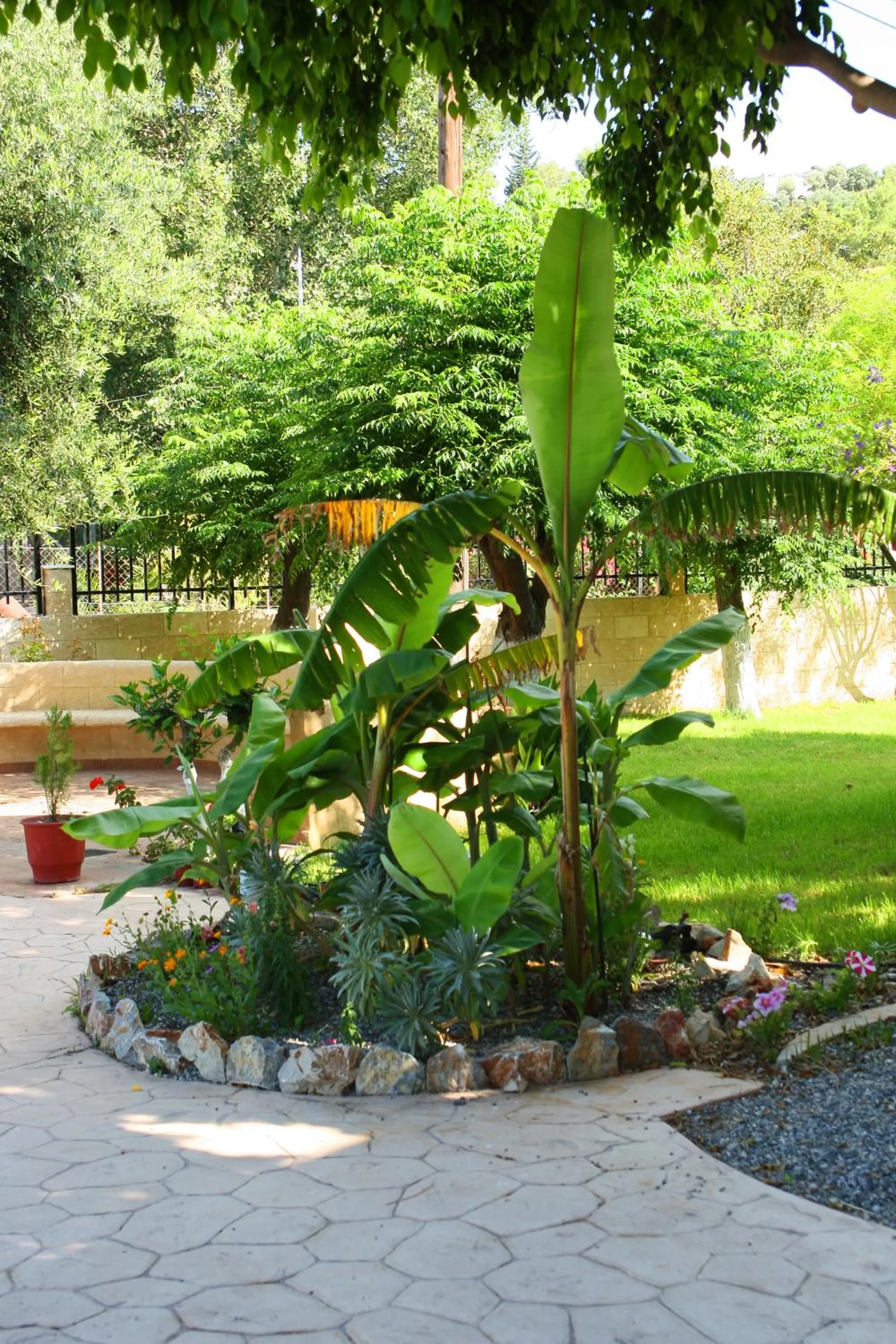 Garden in Vlycha Beach Apartments