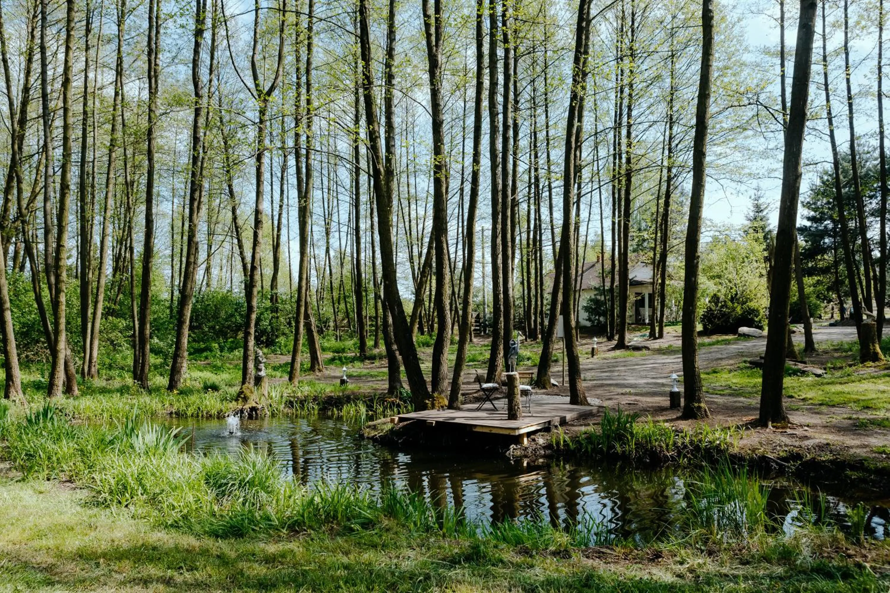 Natural landscape in Dwór Złotopolska Dolina Mansion House