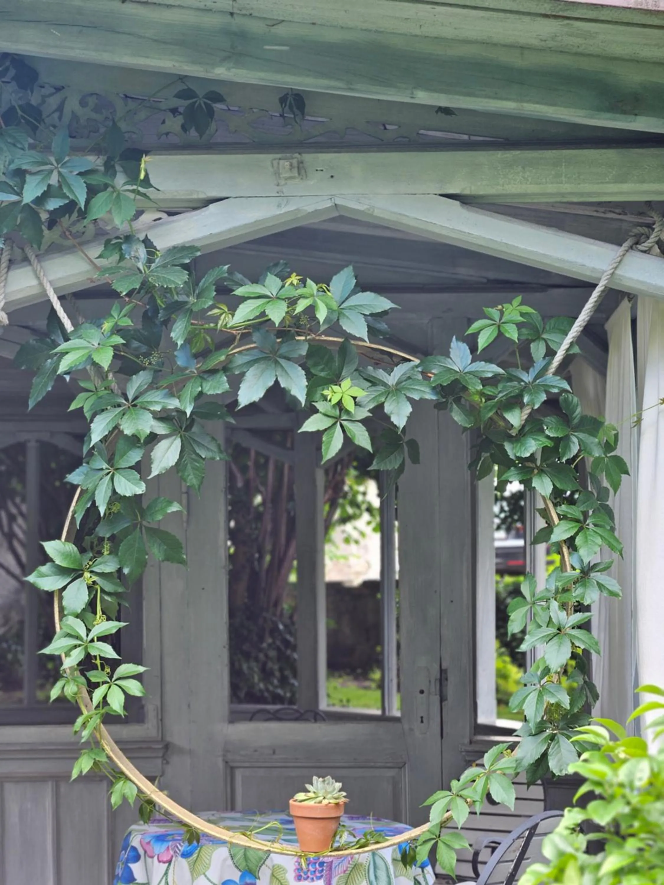 Garden in Hotel Marmułowski