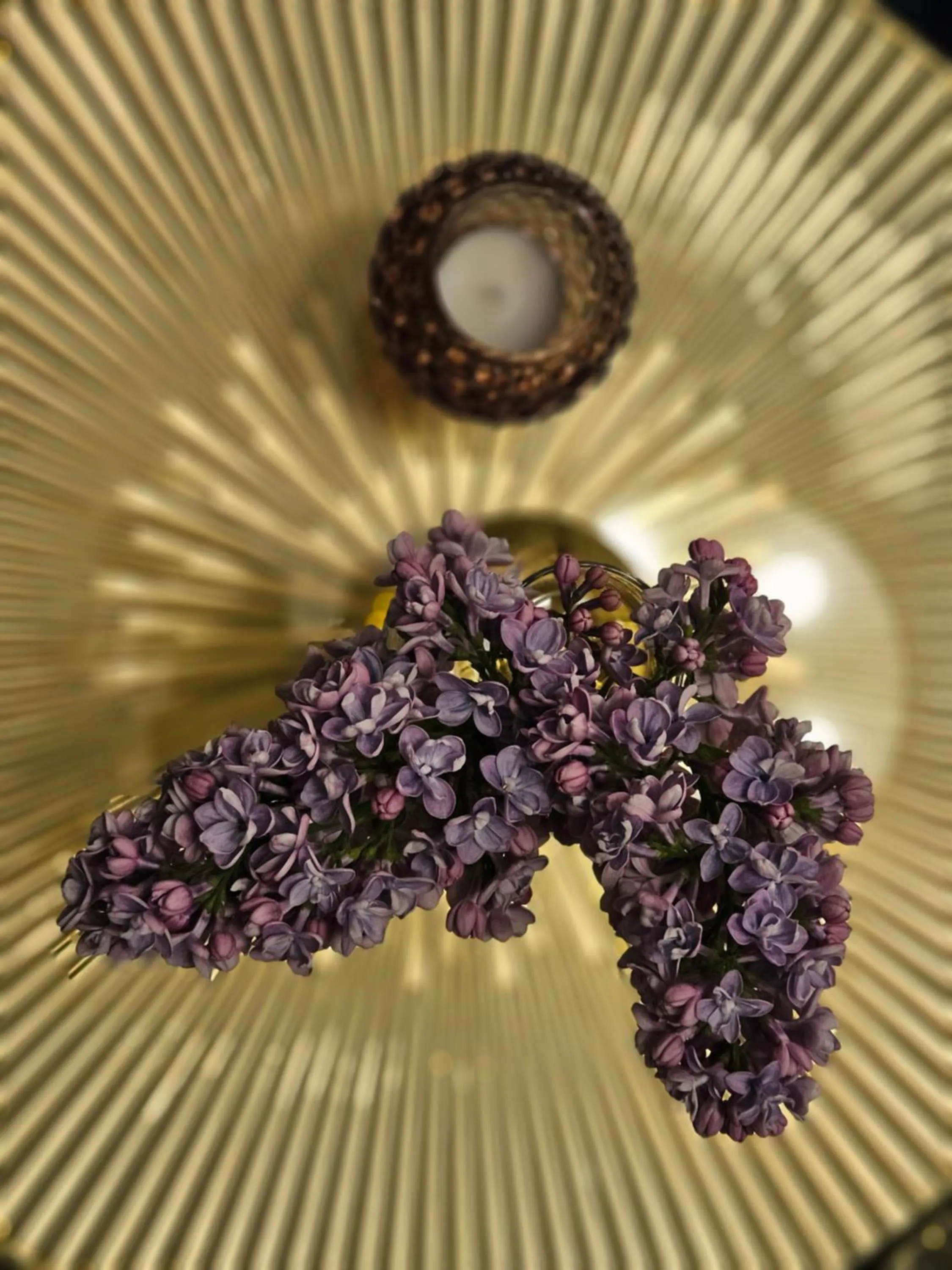 Restaurant/places to eat in Hotel Marmułowski