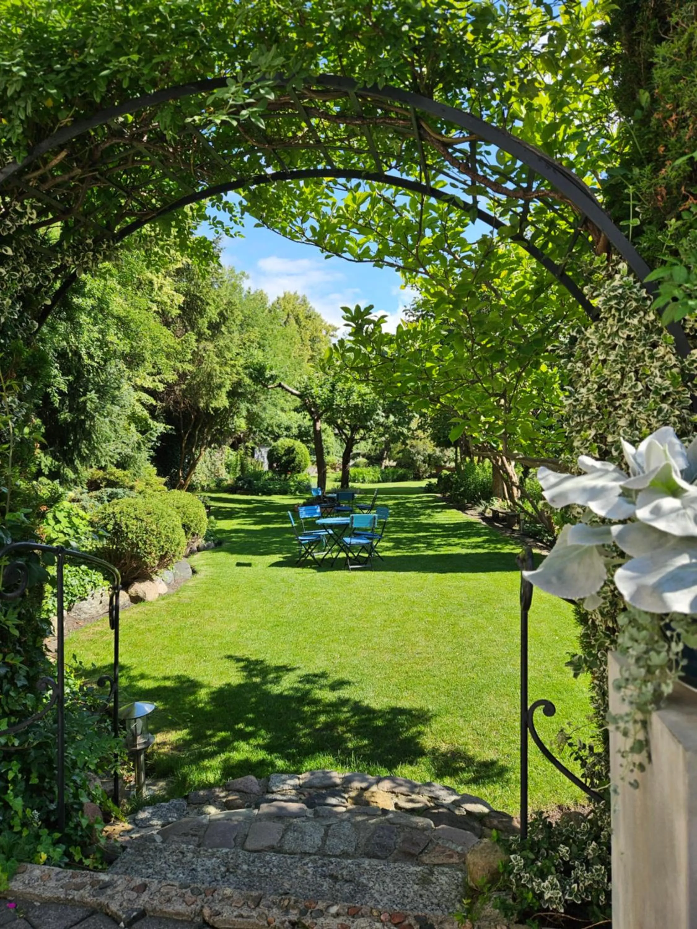 Summer in Hotel Marmułowski