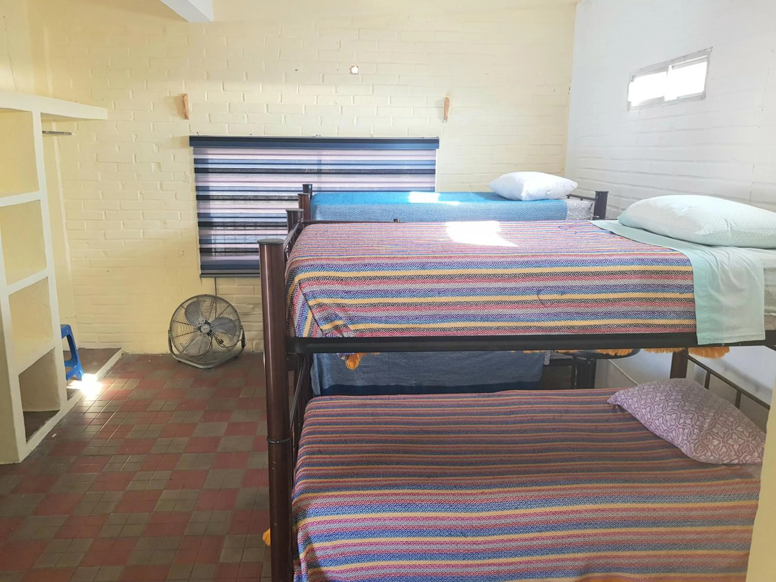 Bed in Hostel Vallarta