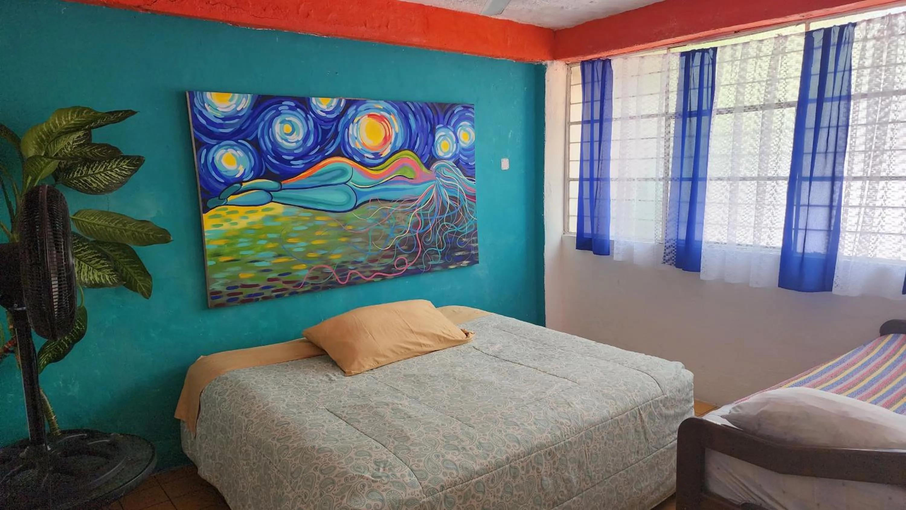 Bed in Hostel Vallarta