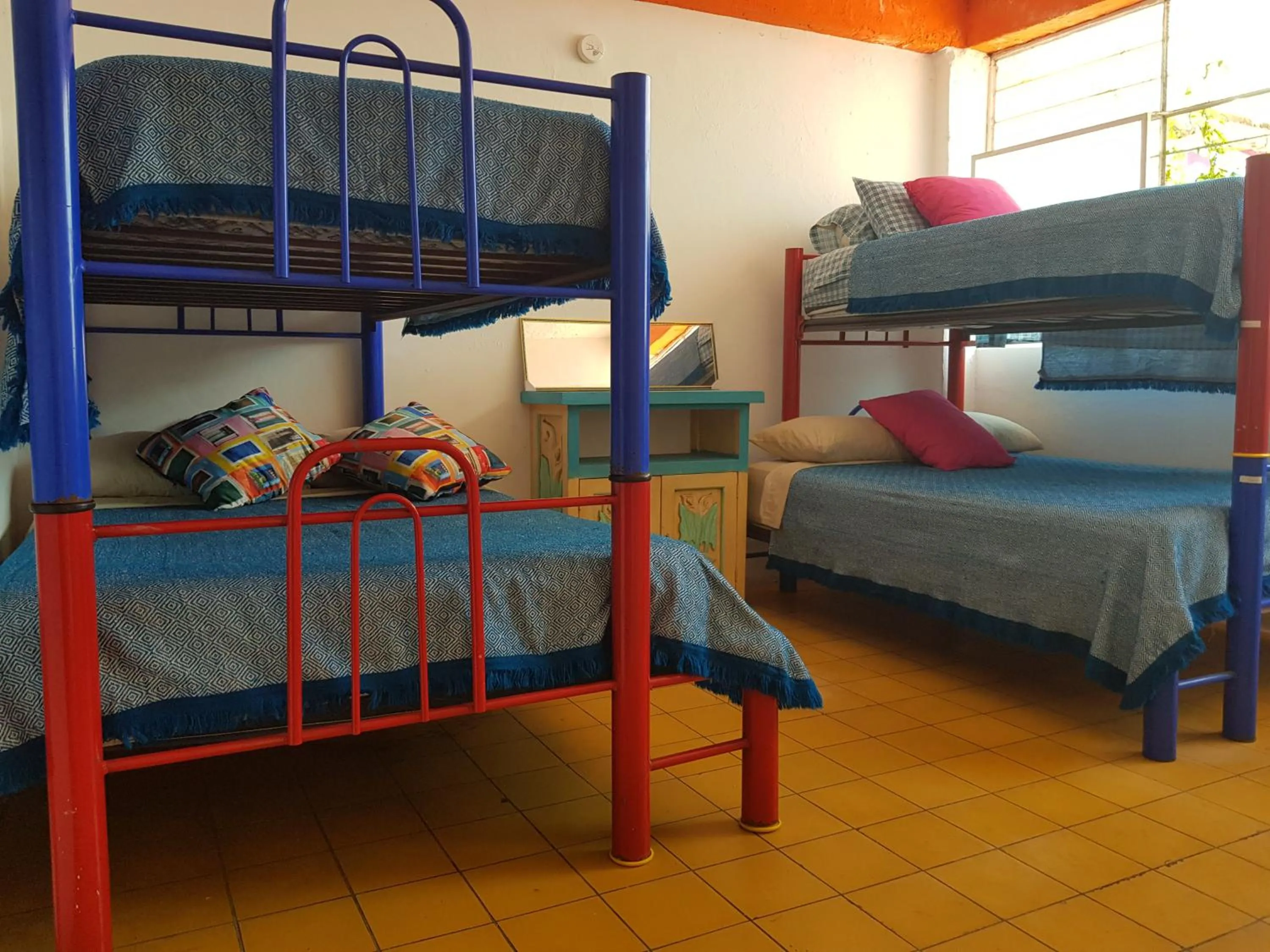 Bed in Hostel Vallarta