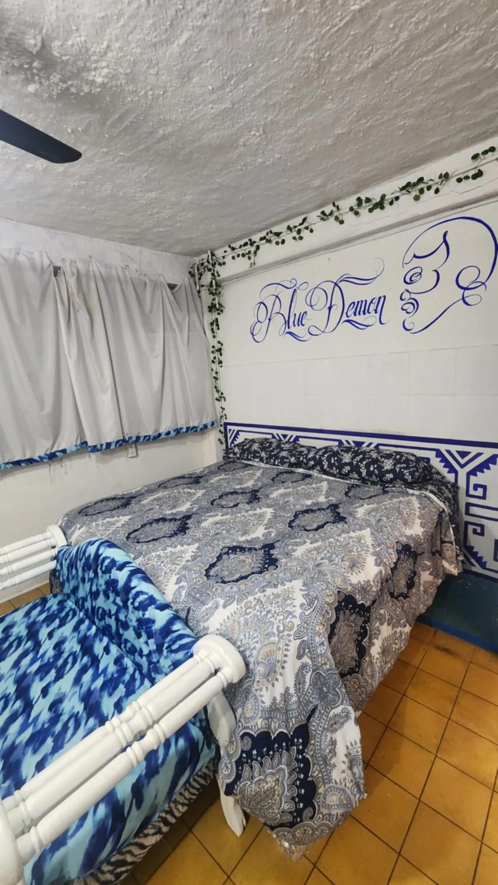 Bed in Hostel Vallarta