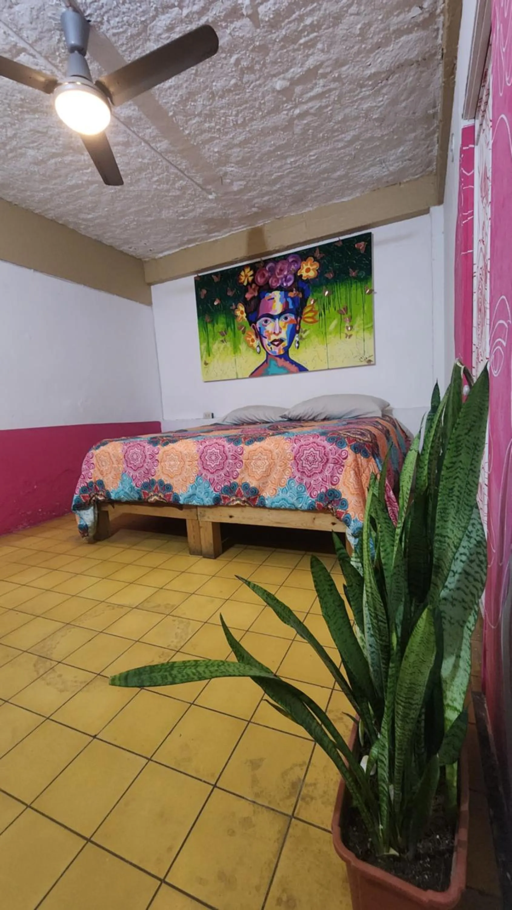 Bed in Hostel Vallarta
