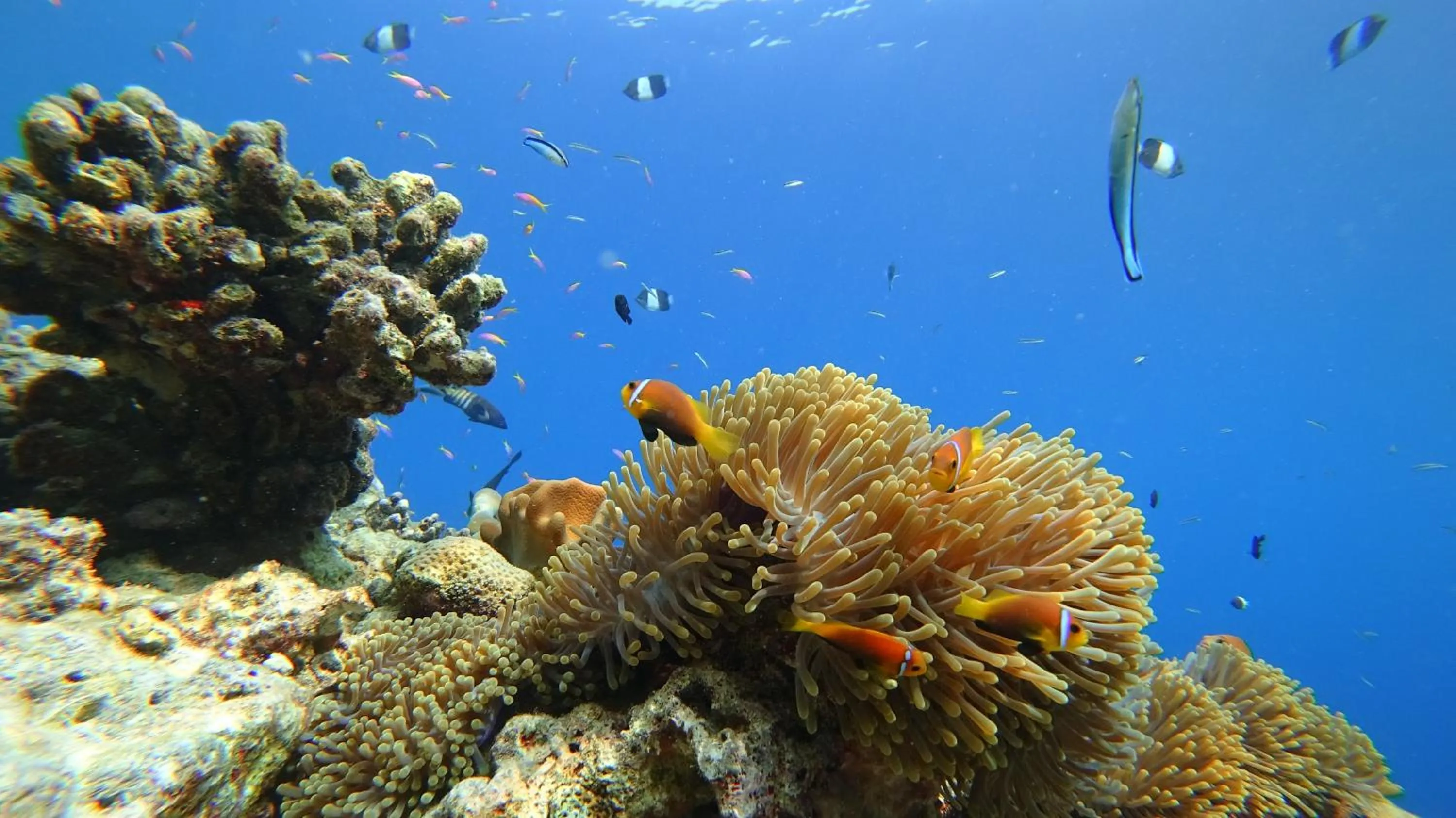 Off site in Madivaru Kro