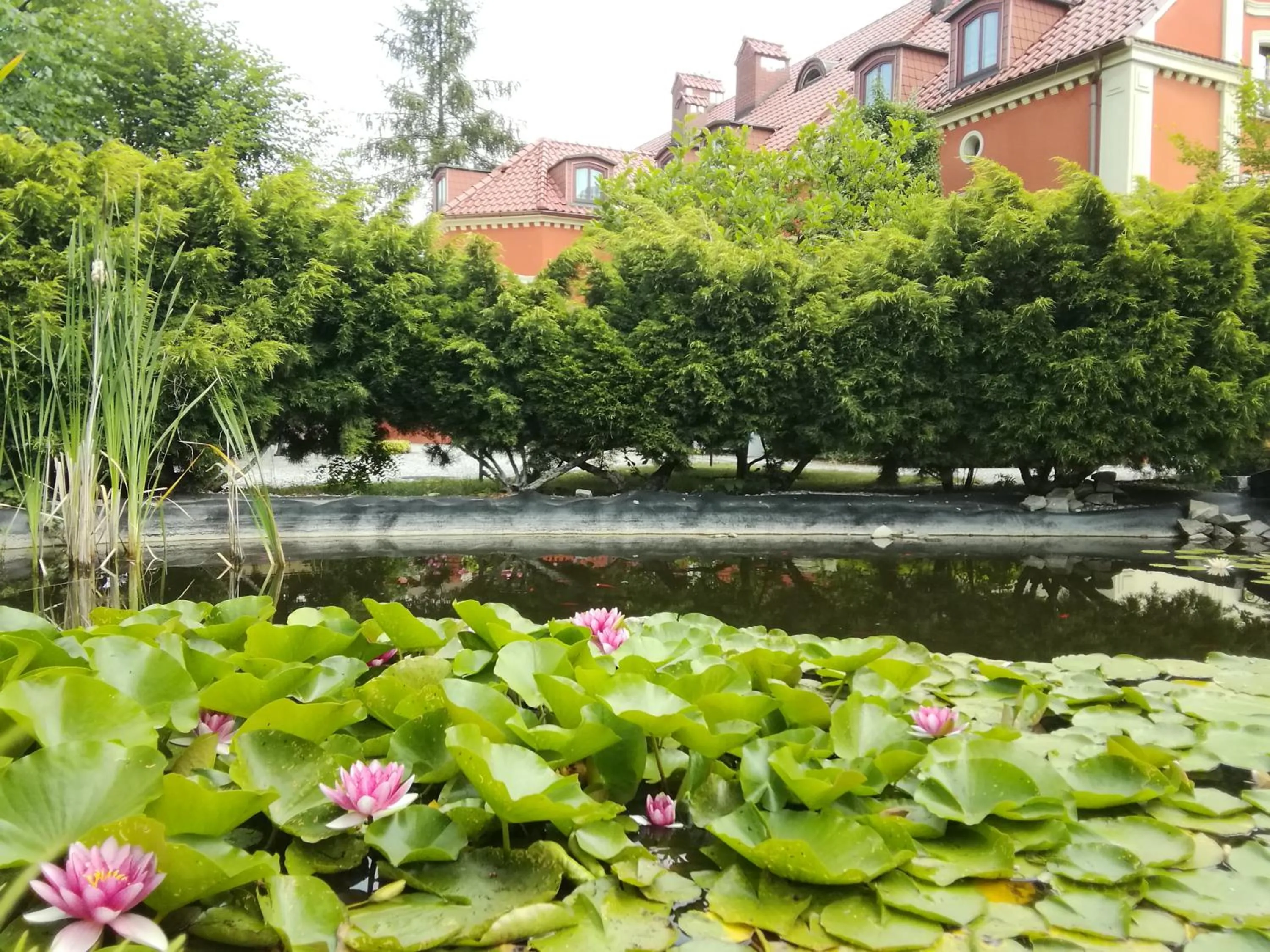 Natural landscape in Dworek 1885