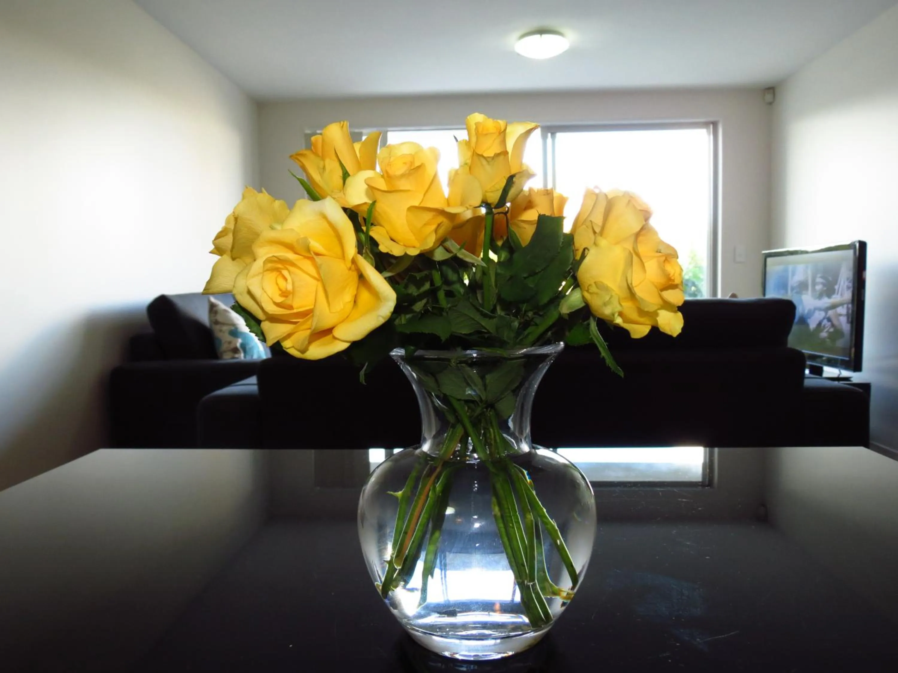 Day in Nesuto Newhaven