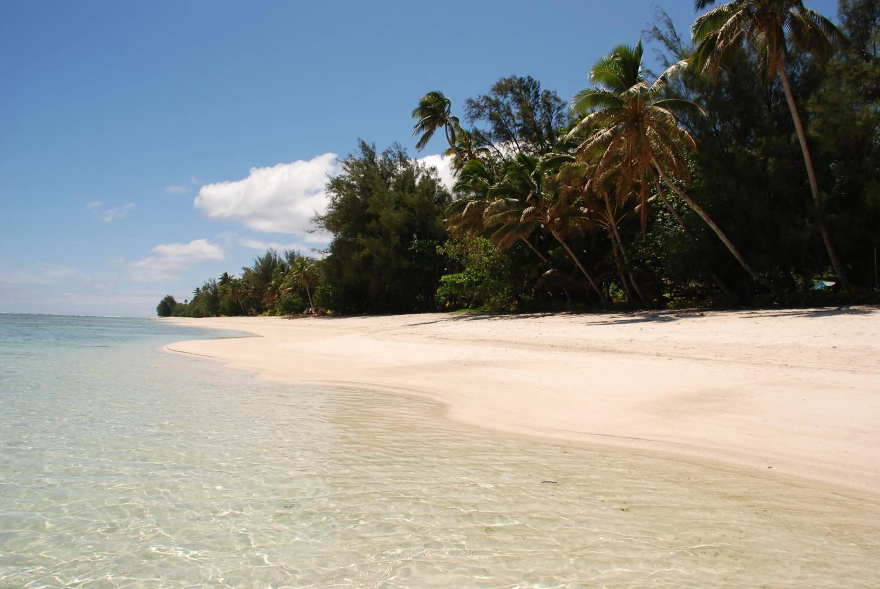 Beach in The Black Pearl Beachside Apartments
