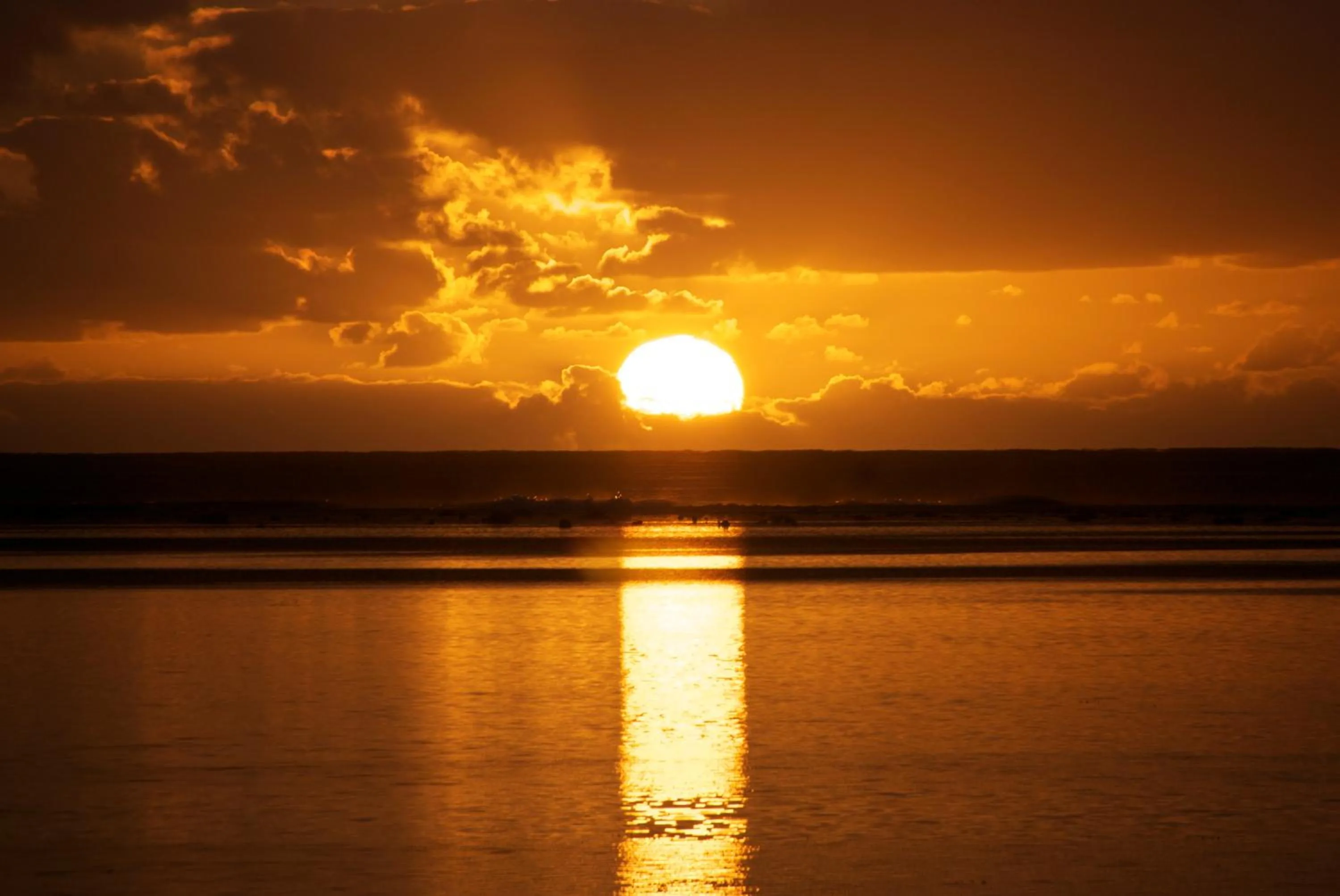 Beach in The Black Pearl Beachside Apartments