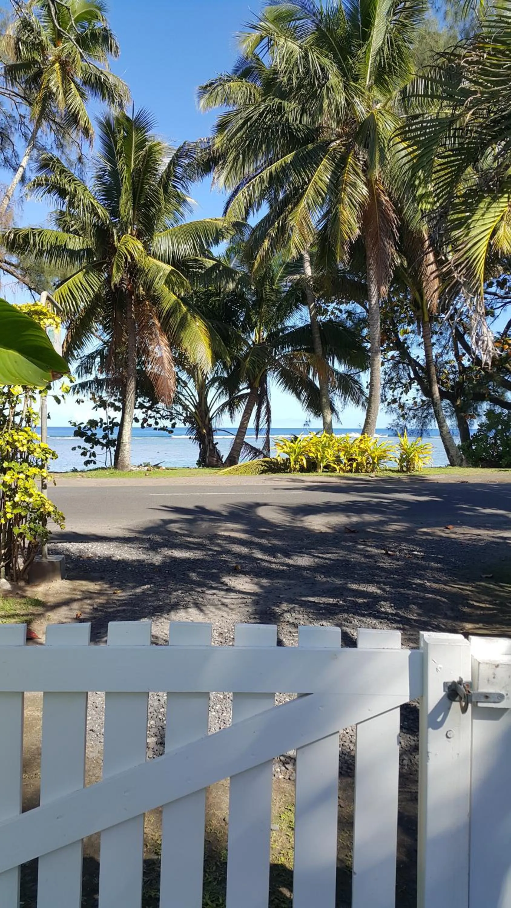 Beach in The Black Pearl Beachside Apartments