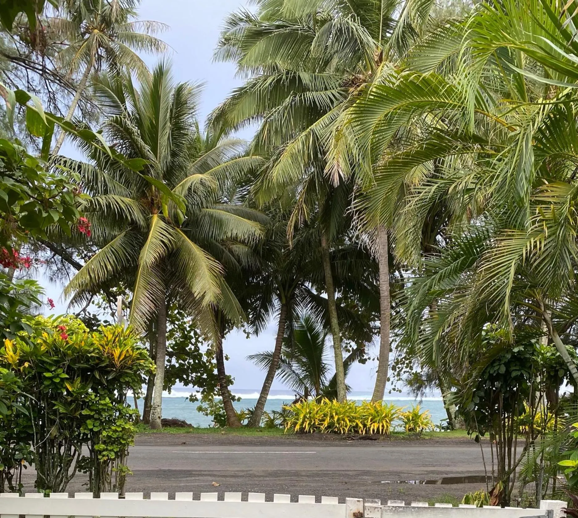 Sea view in The Black Pearl Beachside Apartments