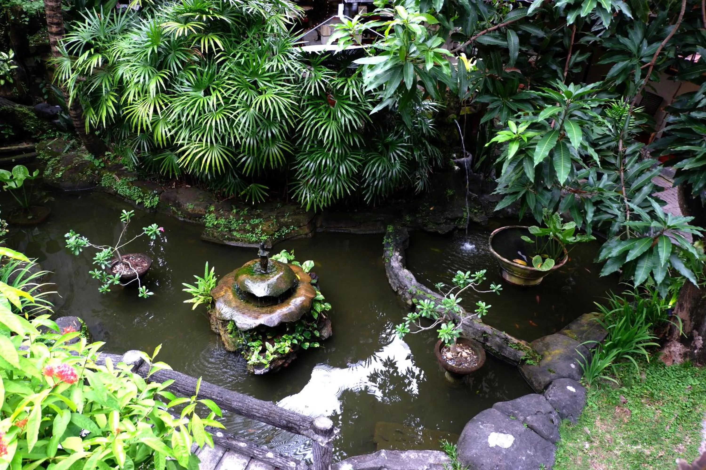 Garden in Seminyak Paradiso Hotel