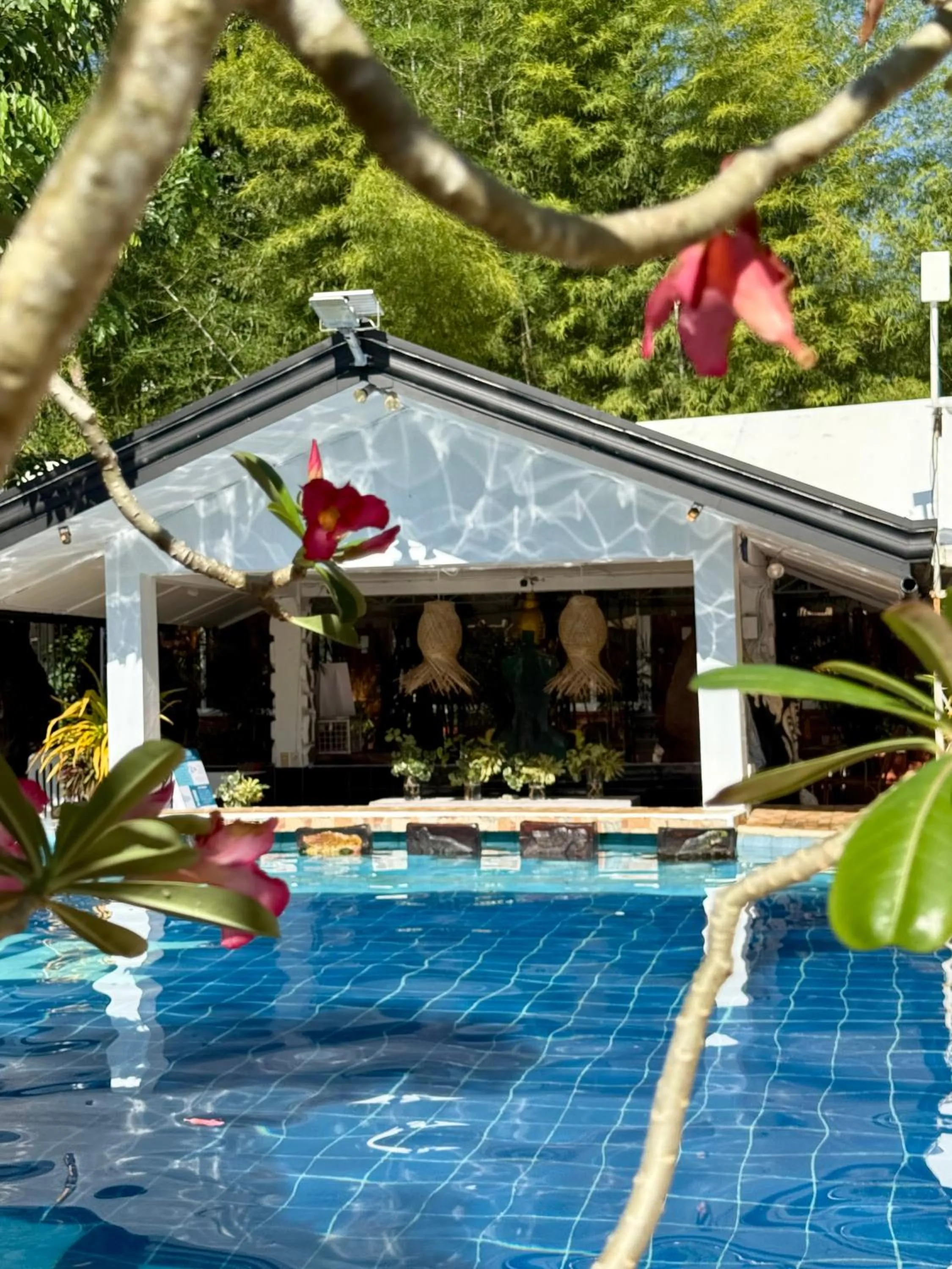 Deep Forest Garden Hotel