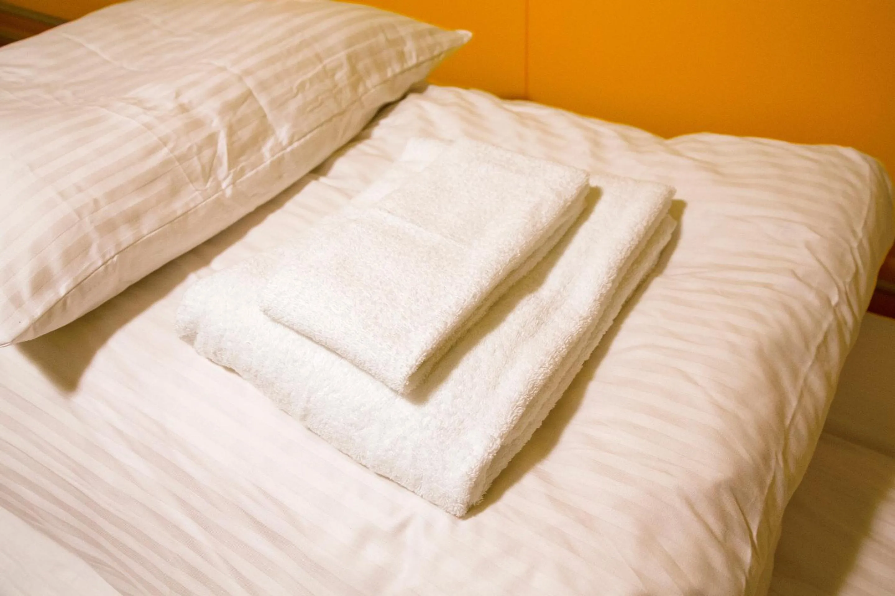 Photo of the whole room, Bed in Seawall Hostel