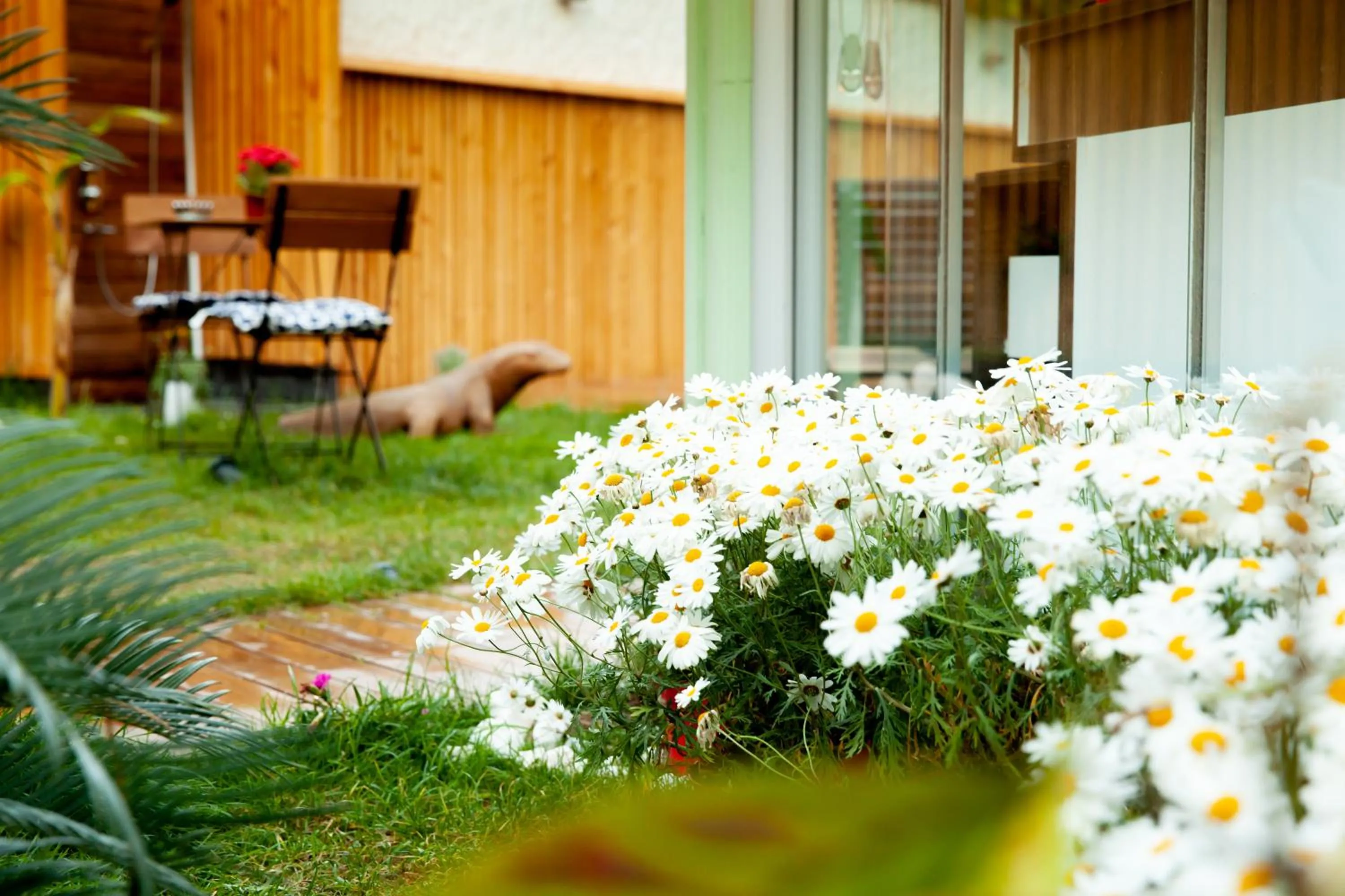 Garden in The Suite Apart Hotel