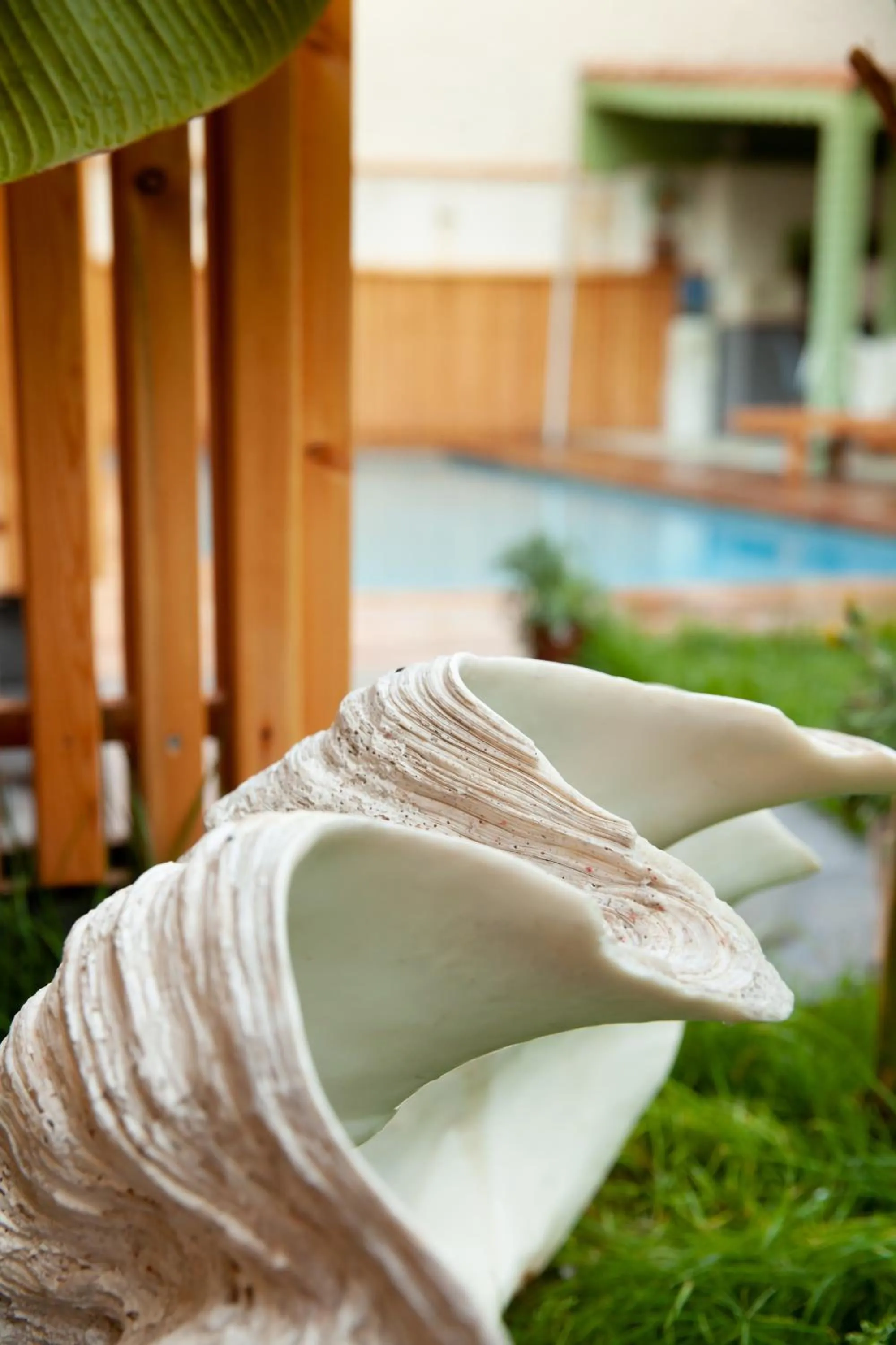 Day in The Suite Apart Hotel