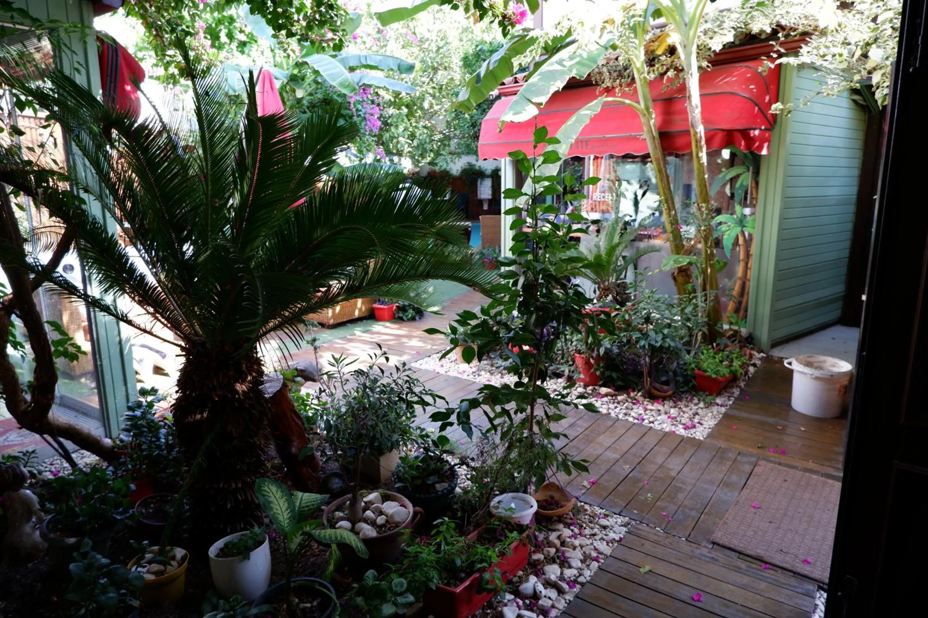 Garden in The Suite Apart Hotel