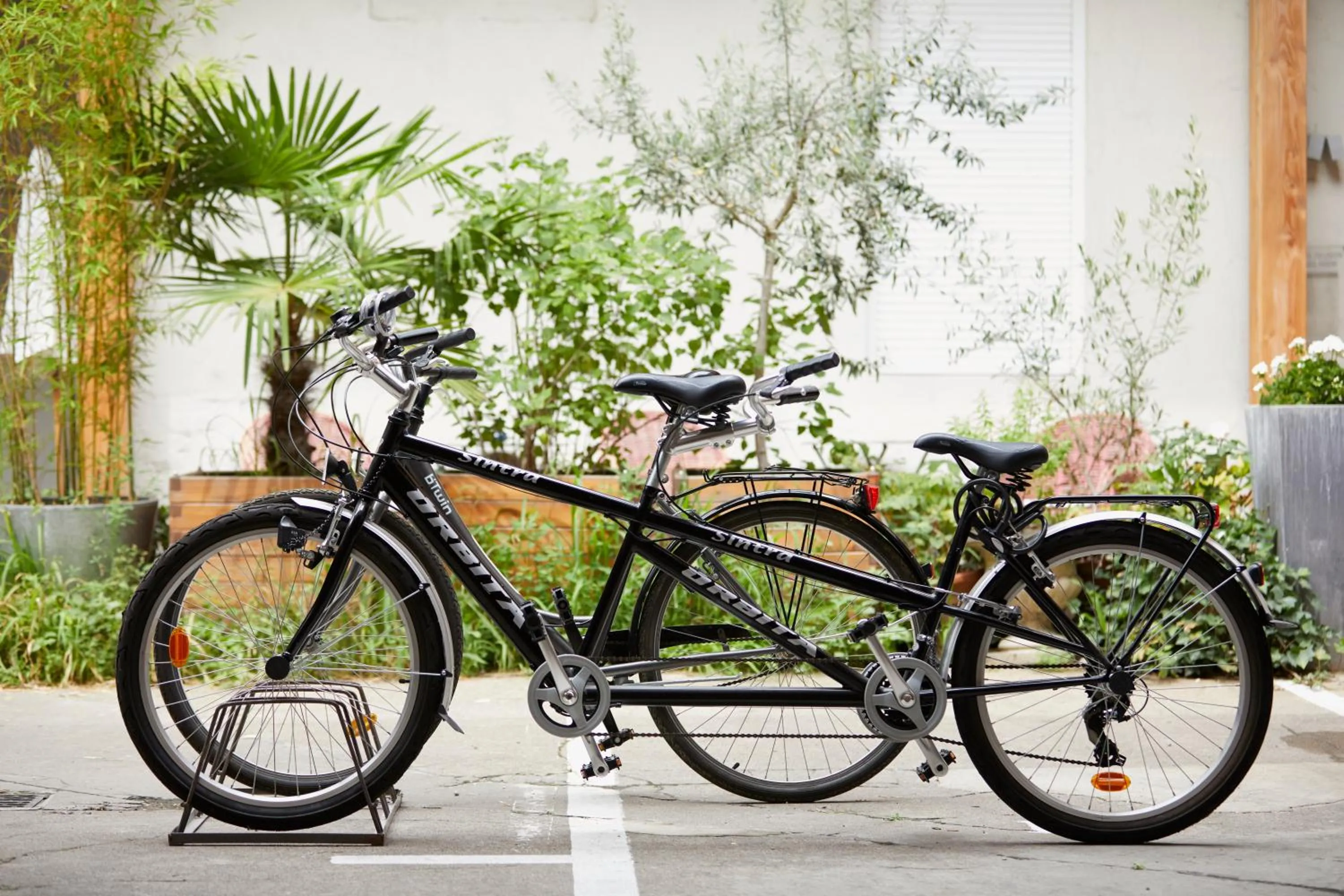 Activities in Best Western Plus d'Europe et d'Angleterre