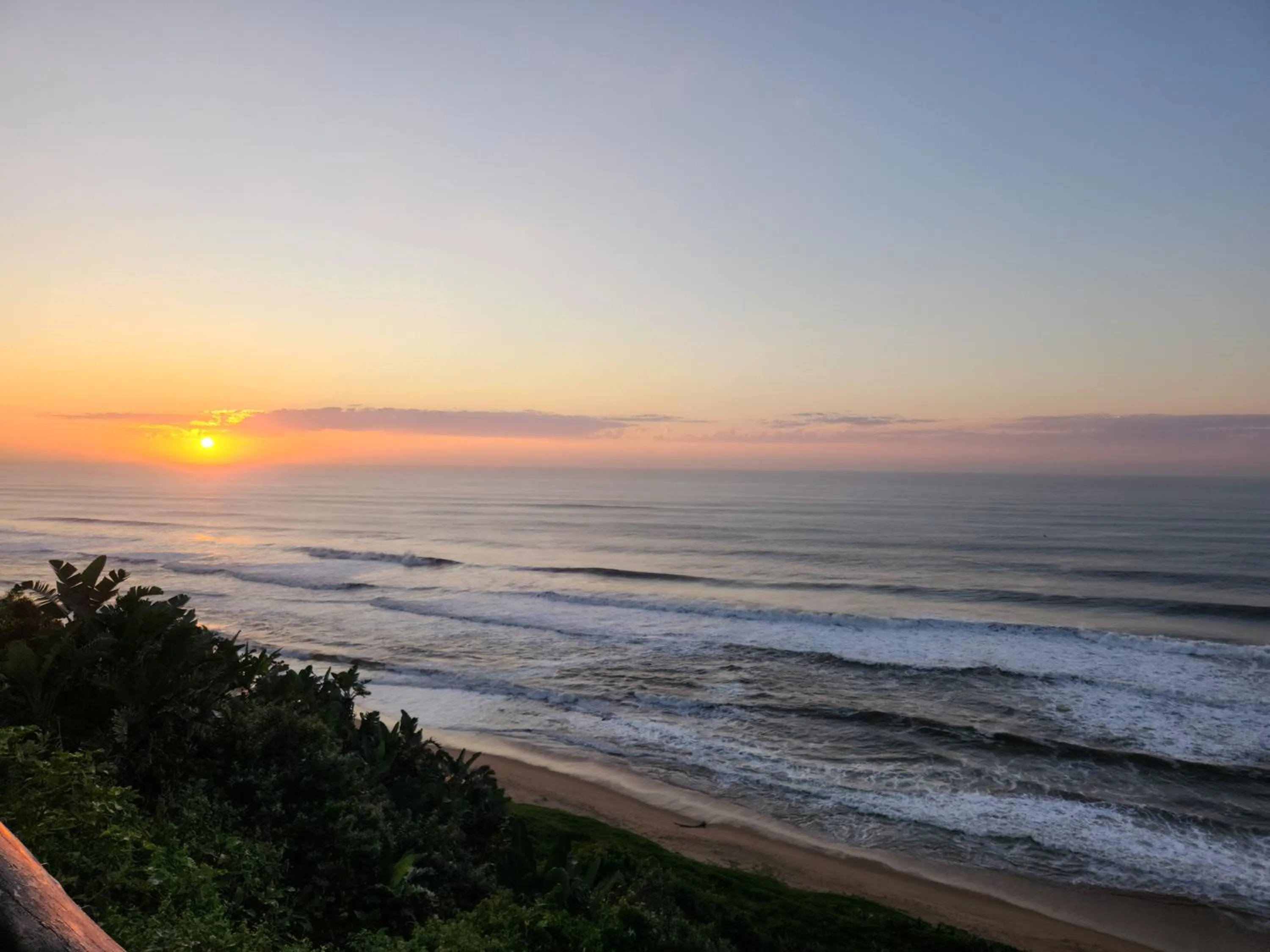 Natural landscape in 305 Guest House