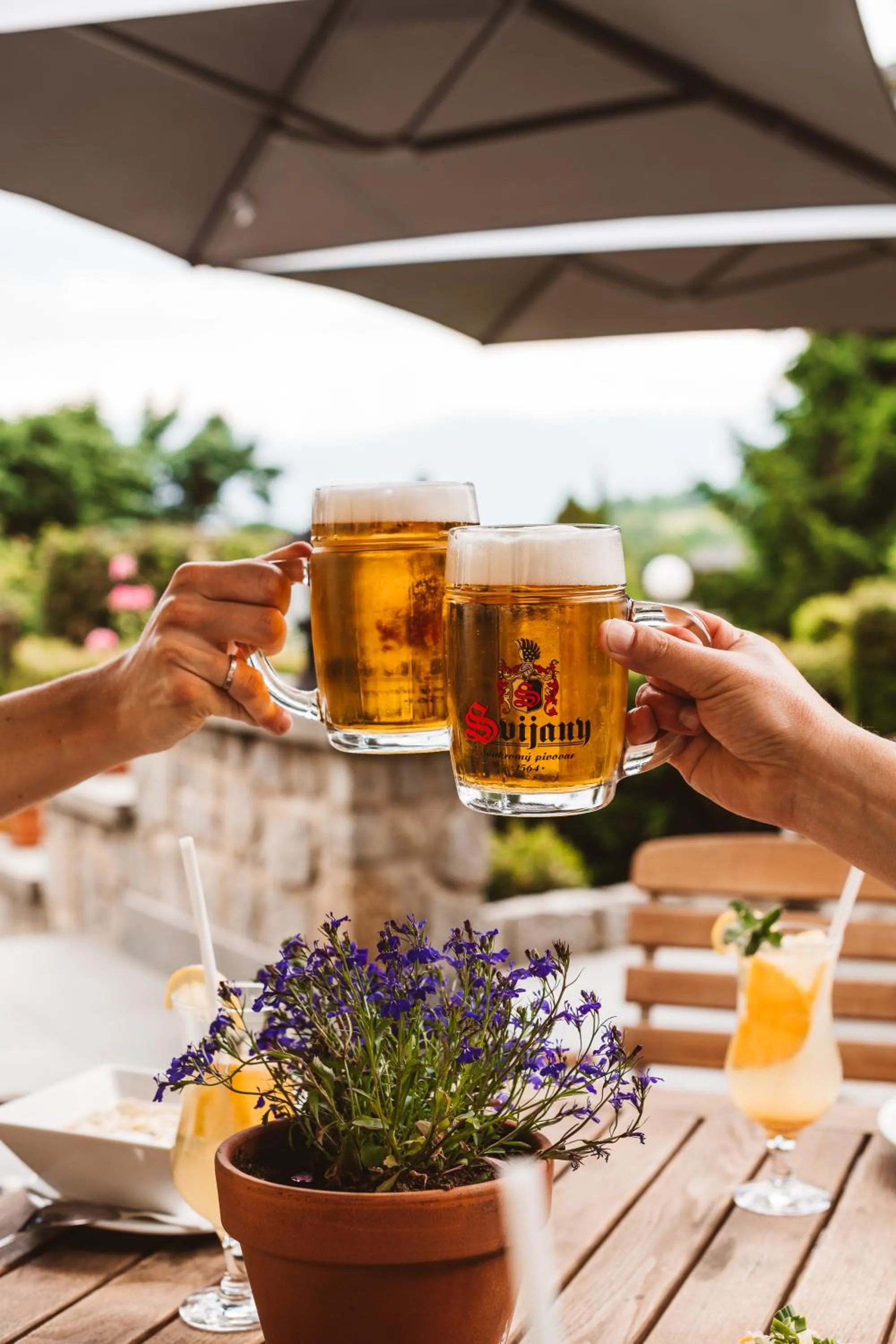 Alcoholic drinks in Hotel Chata Za Wsią