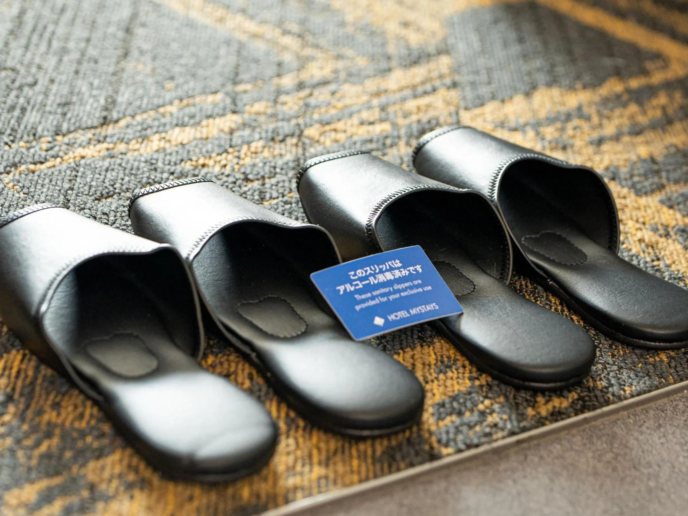 Area and facilities in HOTEL MYSTAYS Kanda